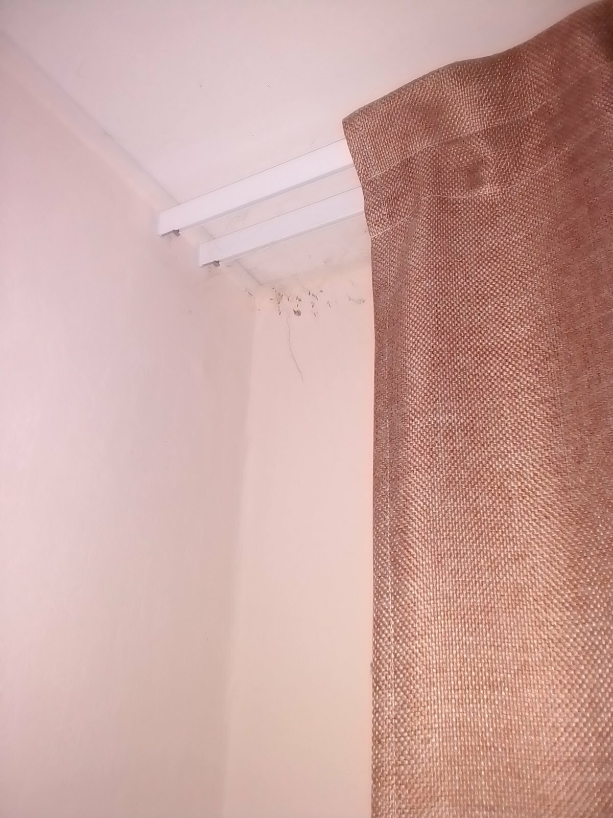 Фото ЭкоДом