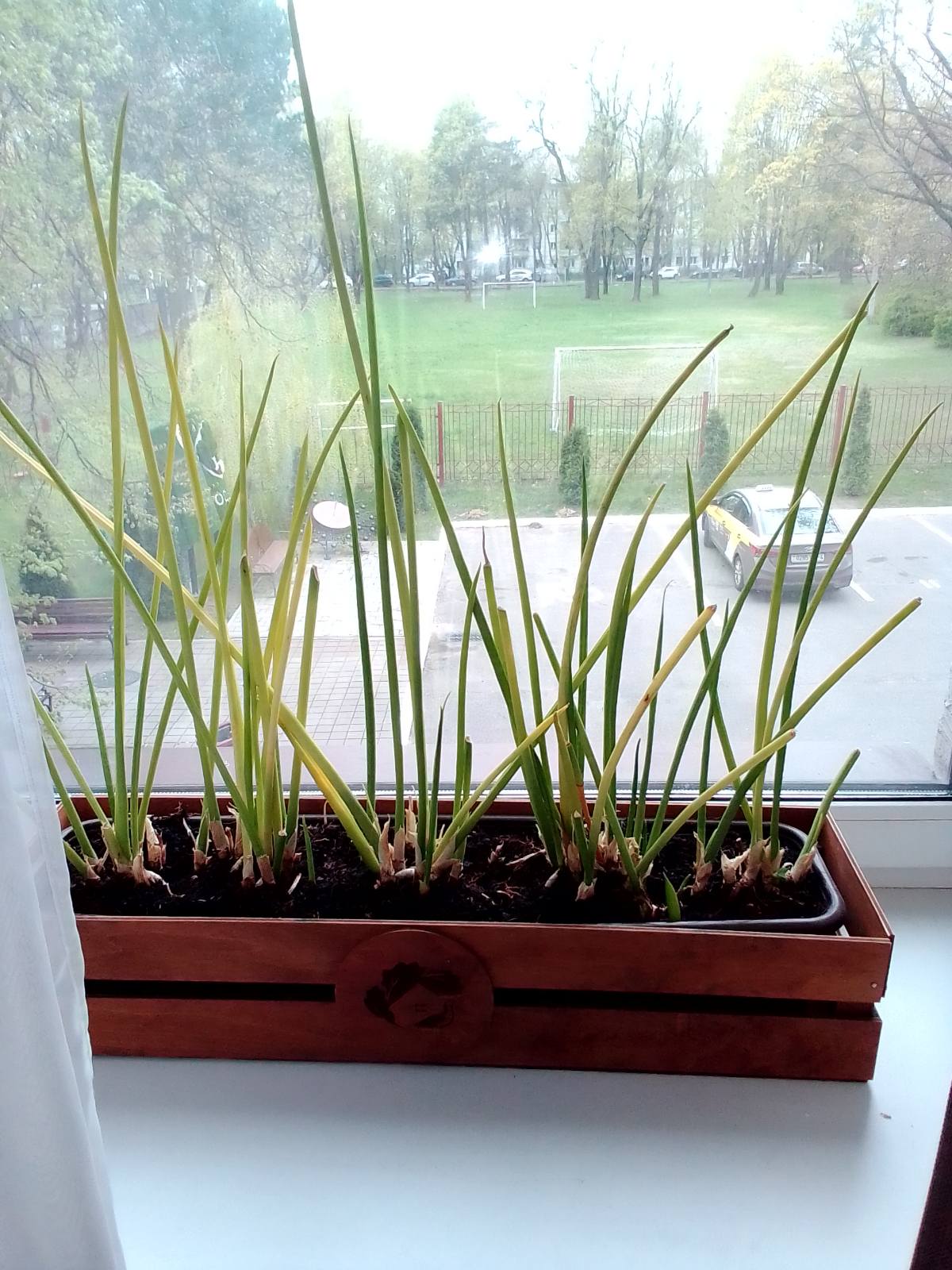 Фото ЭкоДом