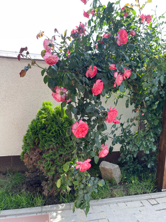 Фото Антарес Эстейт