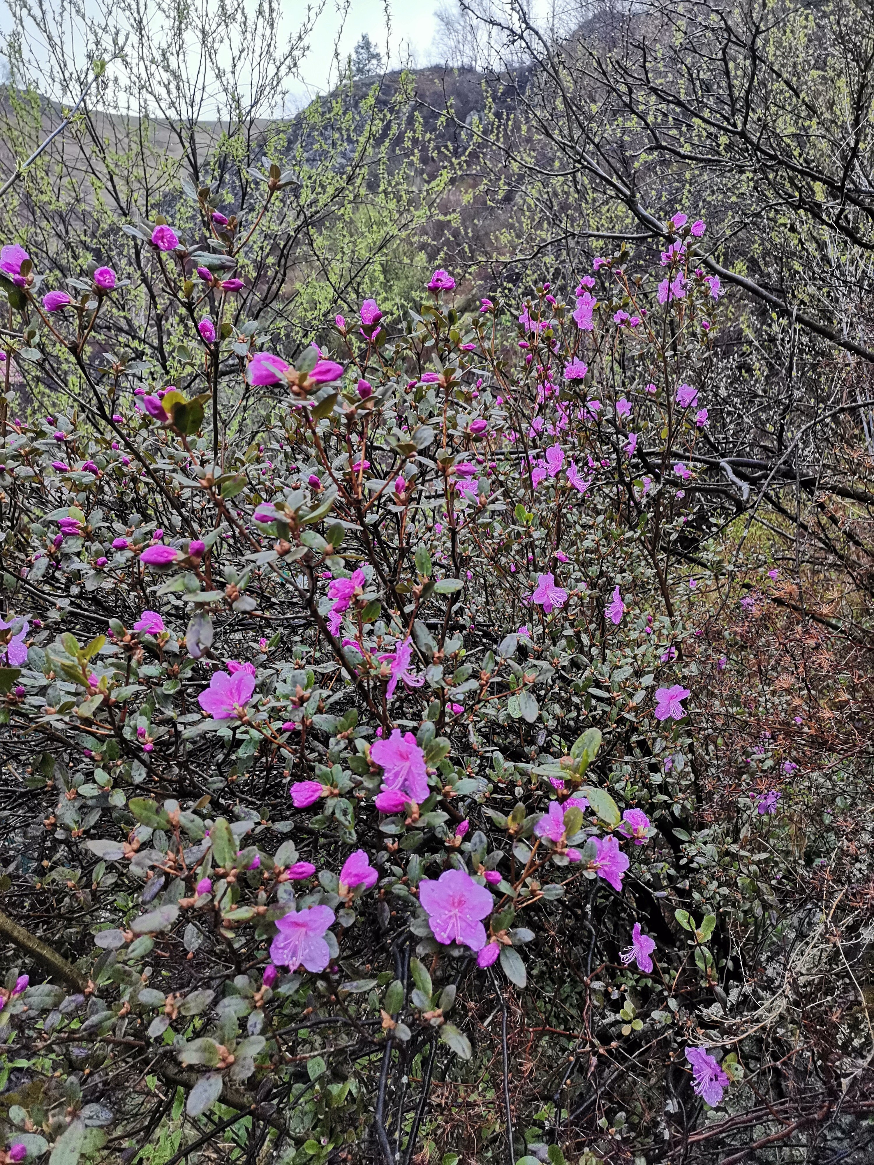 Фото Усадьба Сокол