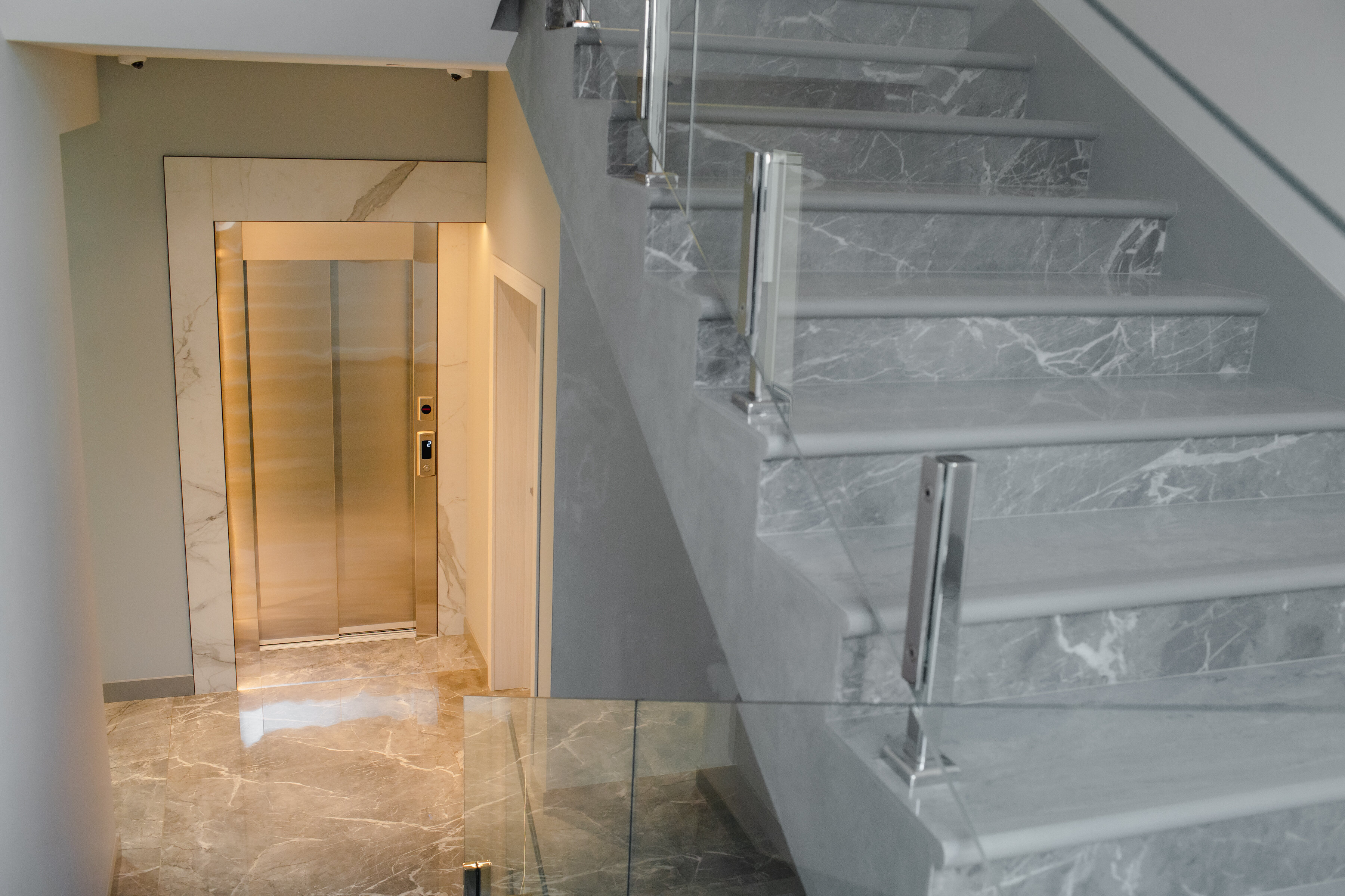 Фото Две оливы