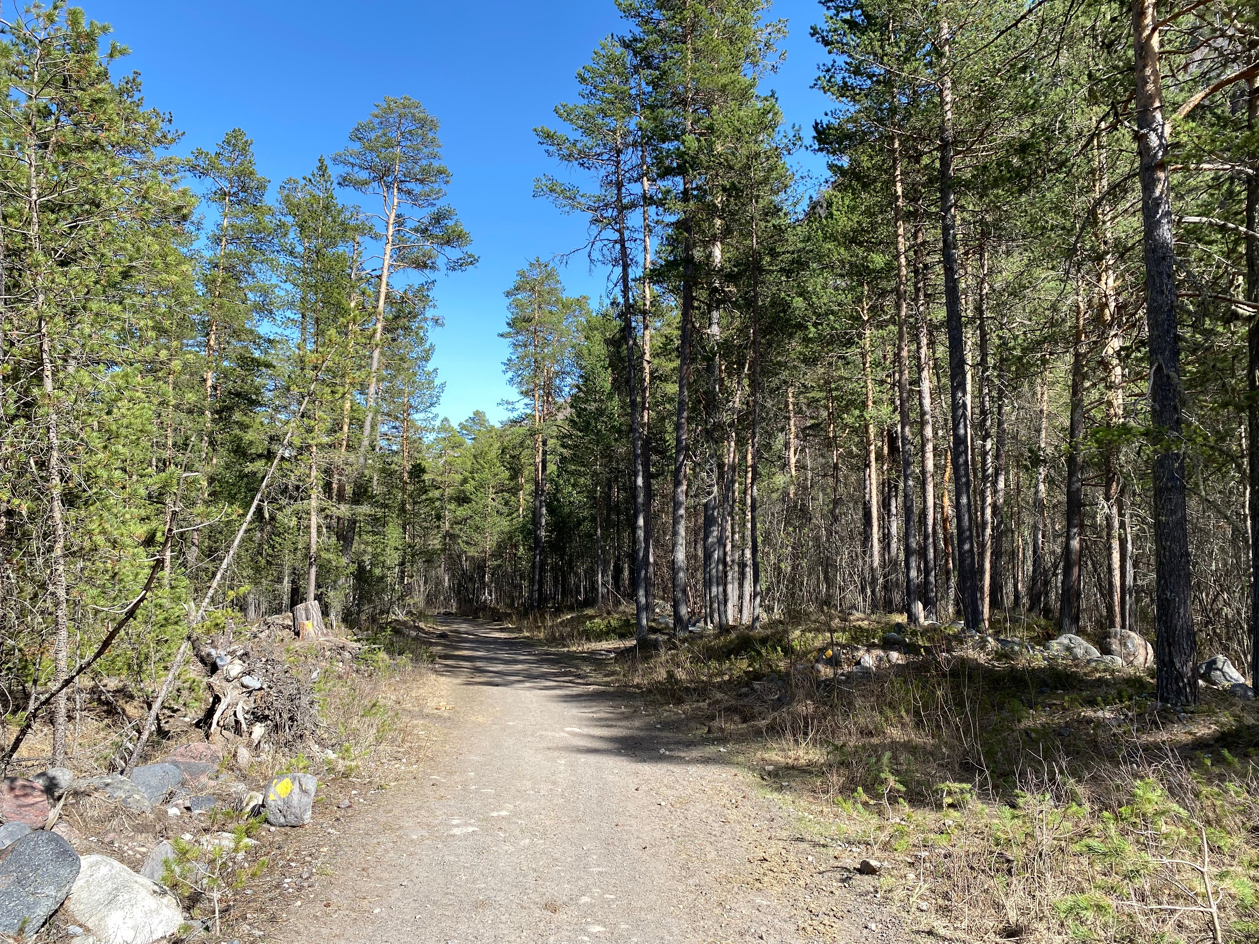 Фото Людмила