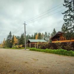 Фото Green Forest