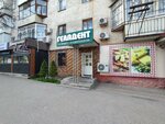 Gela-Dent (Auezov Street, 165), dental clinic
