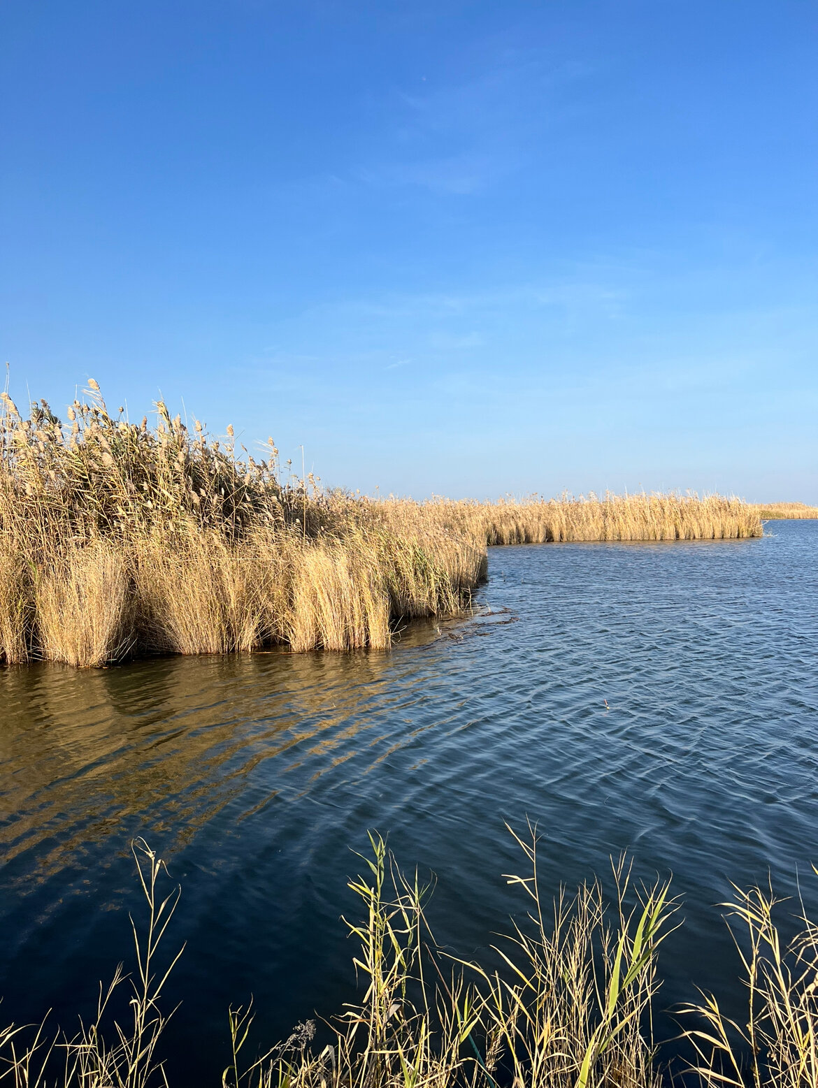 Фото Фазенда