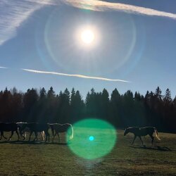 Фото Солонцово
