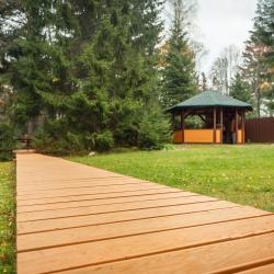 Фото Green Forest