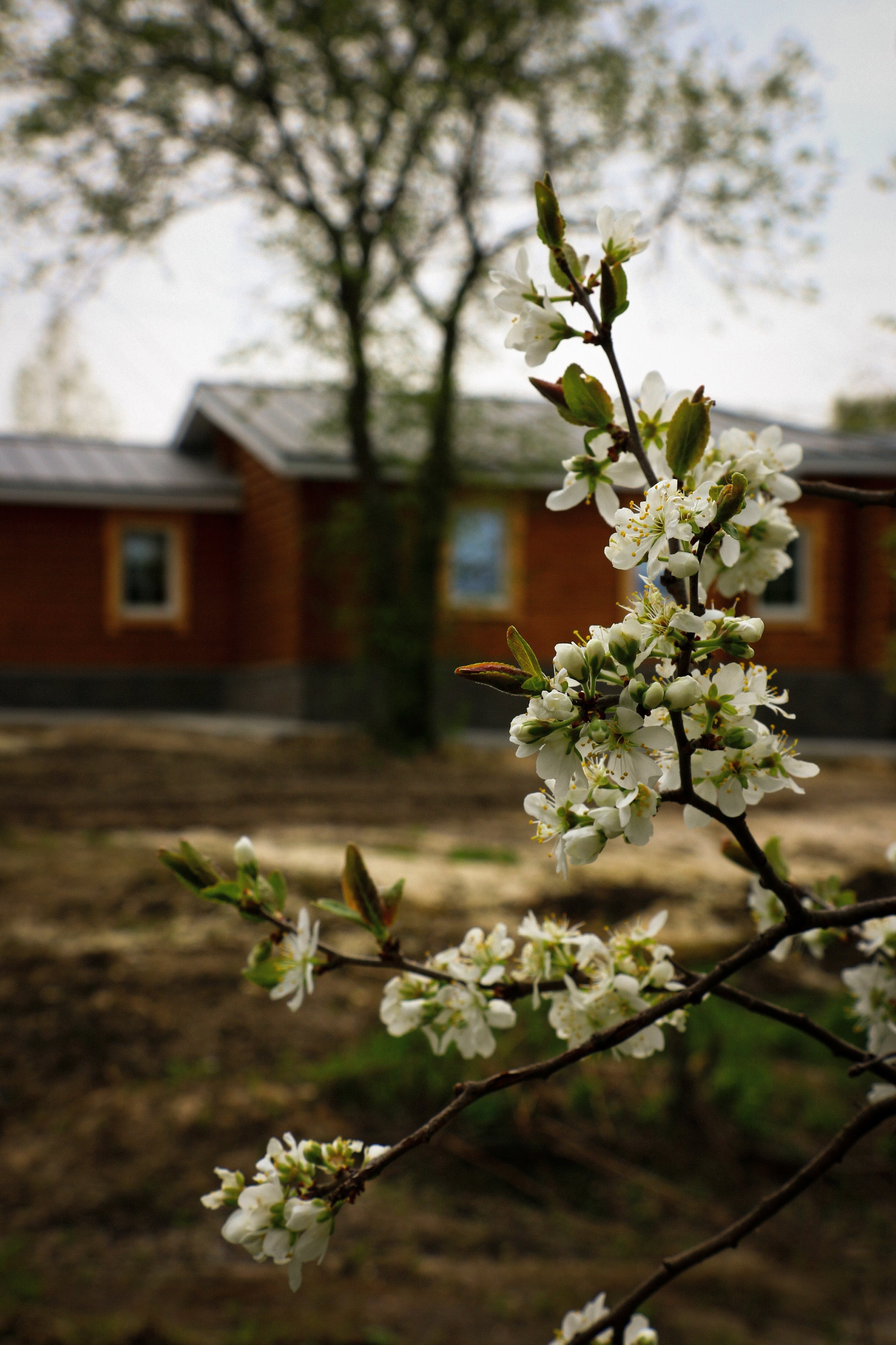 Фото Казачий Хутор