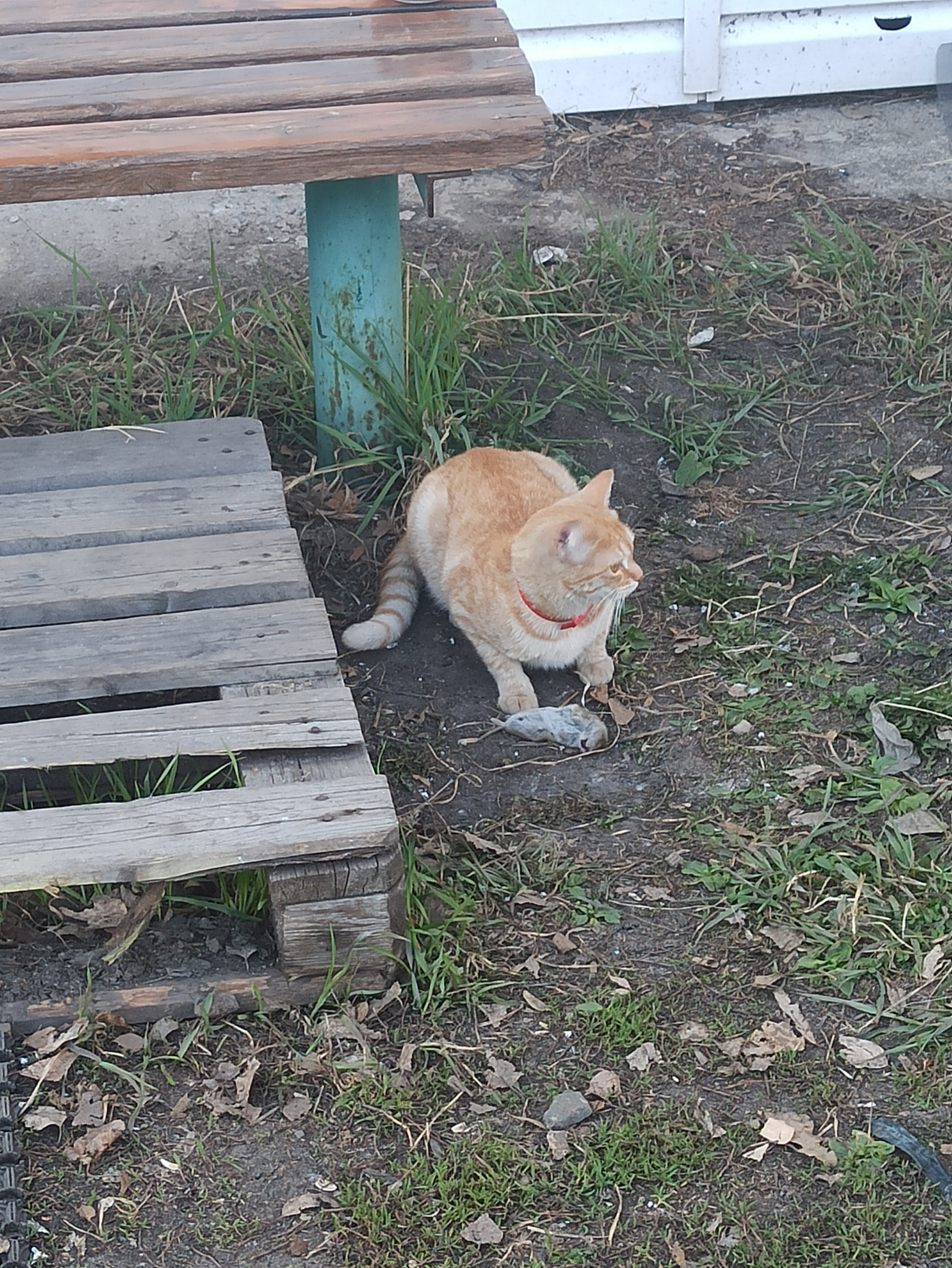 Фото Зотино