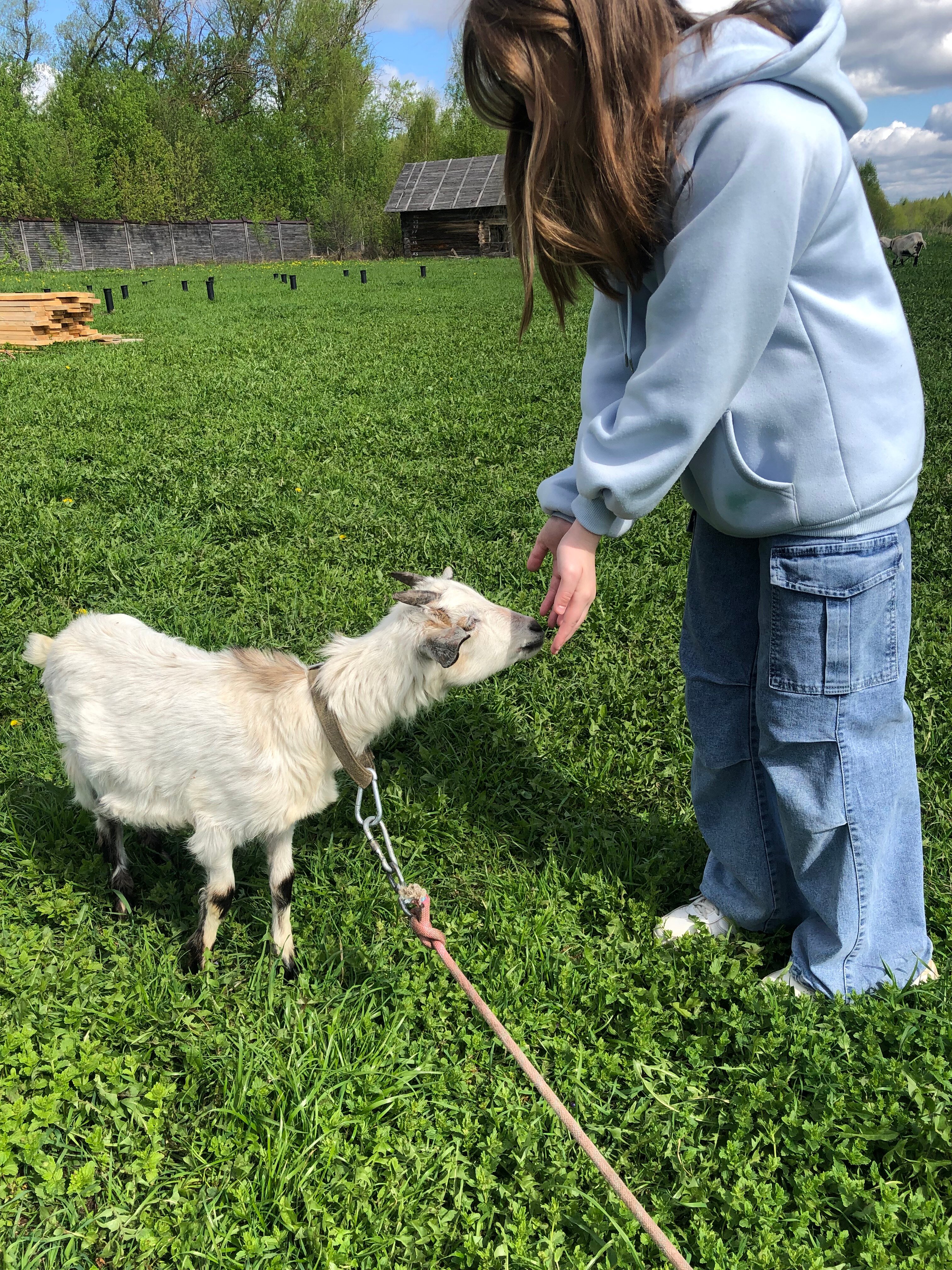 Фото Ярославна