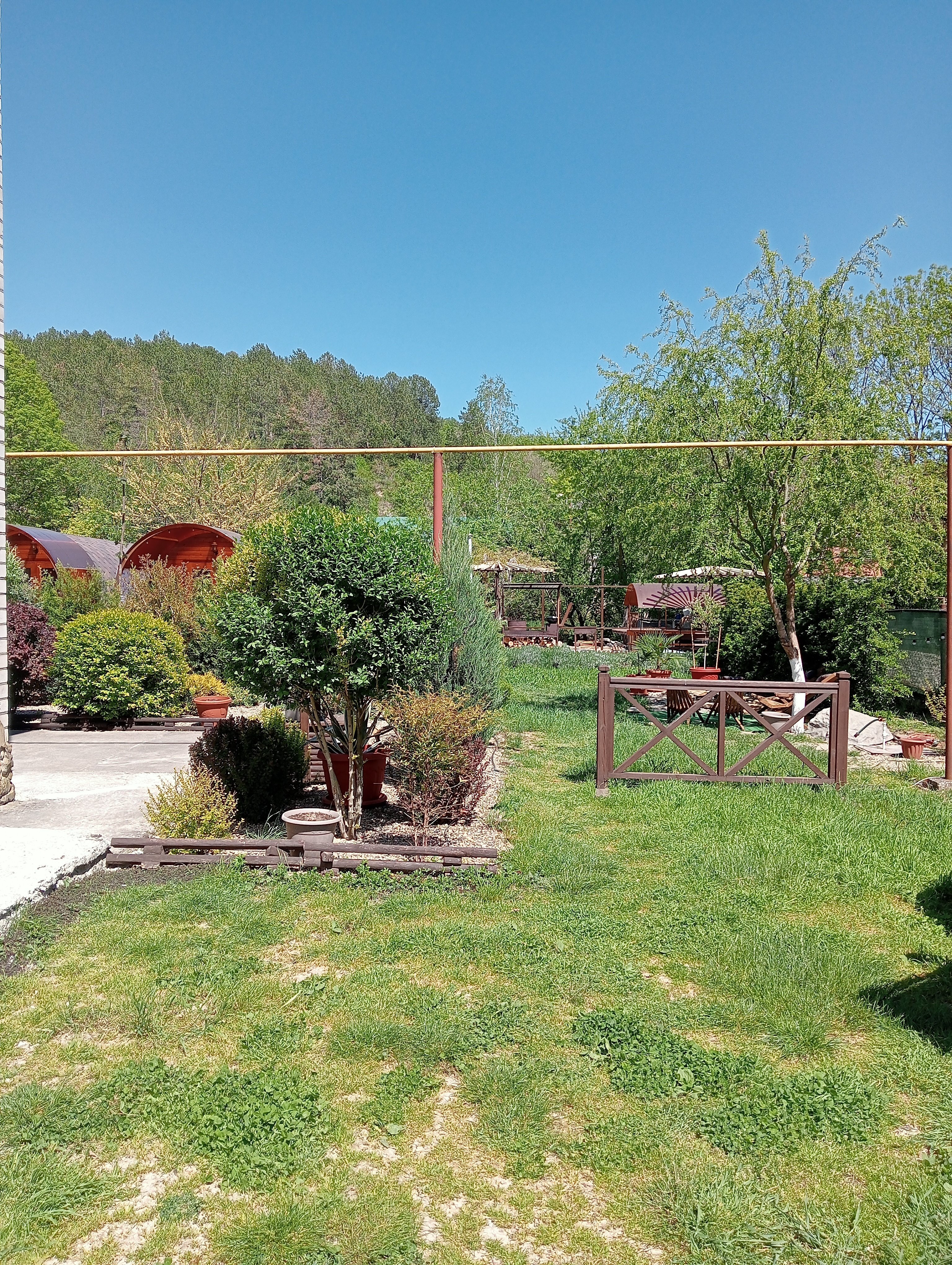 Фото Надежда