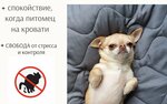 Smallsobach (Silikatnaya Street, 10А), tienda de animales