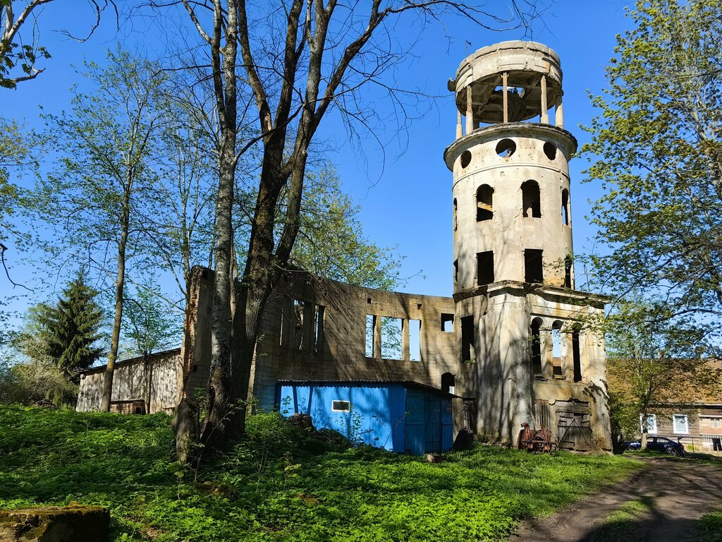 Atracción Усадьба Алексеевых-Брянчаниновых, , foto