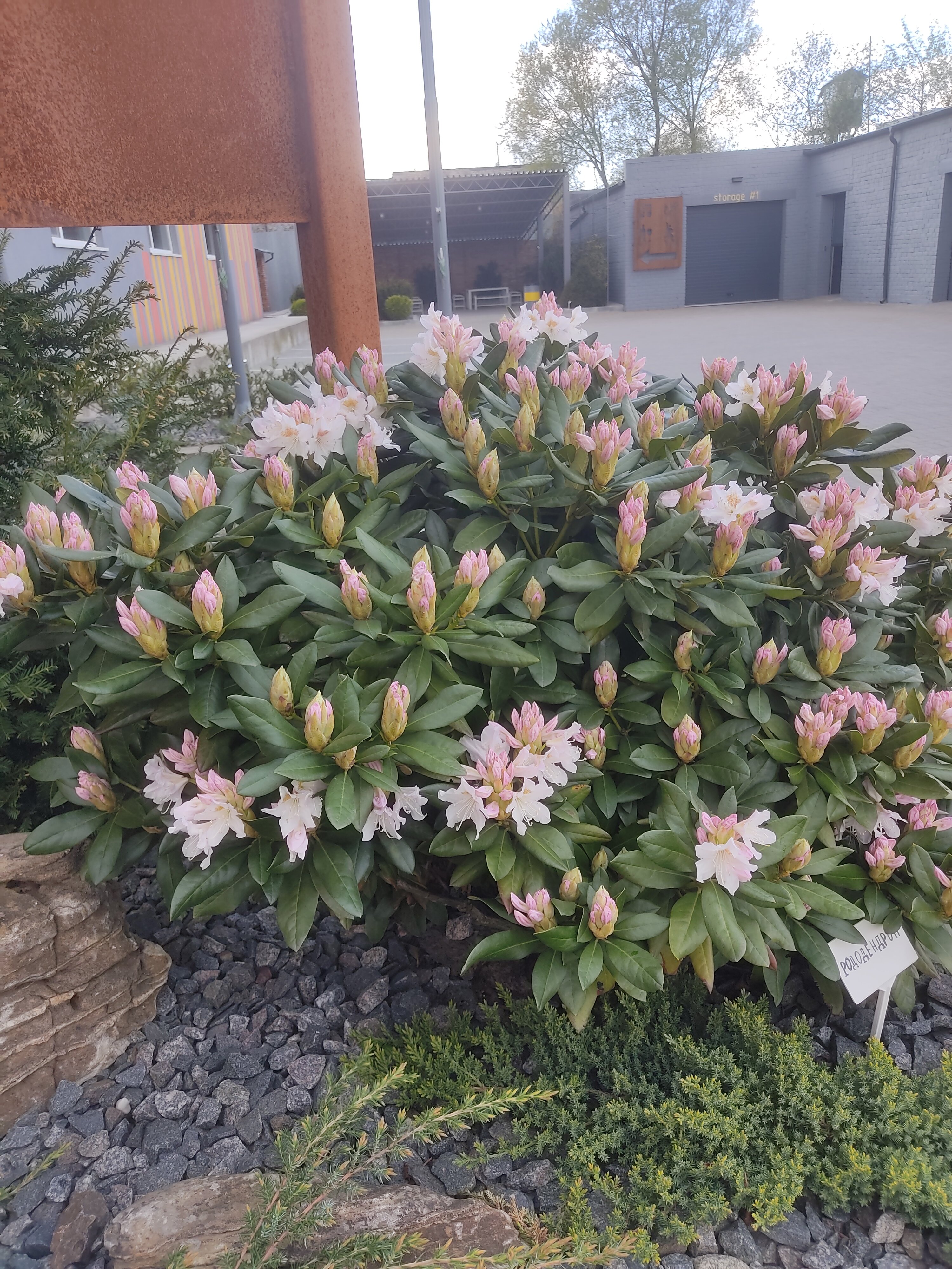 Фото Friday Center