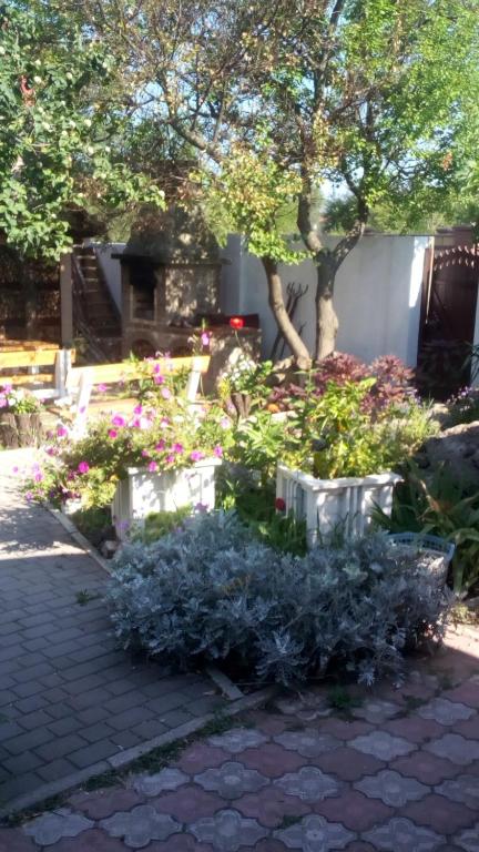 Фото Ройтош