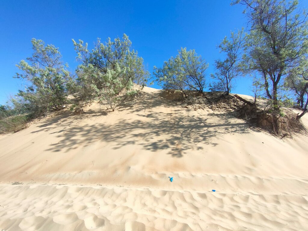 Beach Селена, Anapa, photo