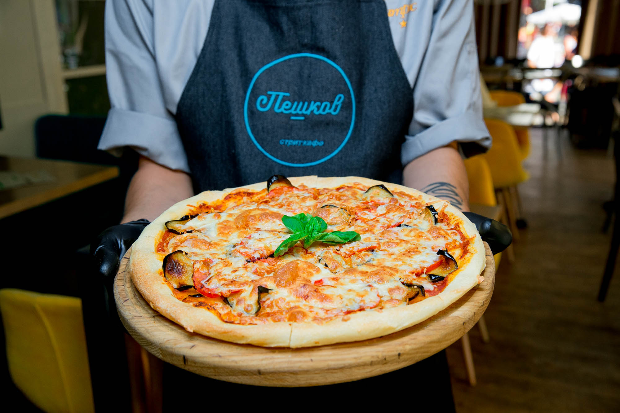 Фото Альбатрос