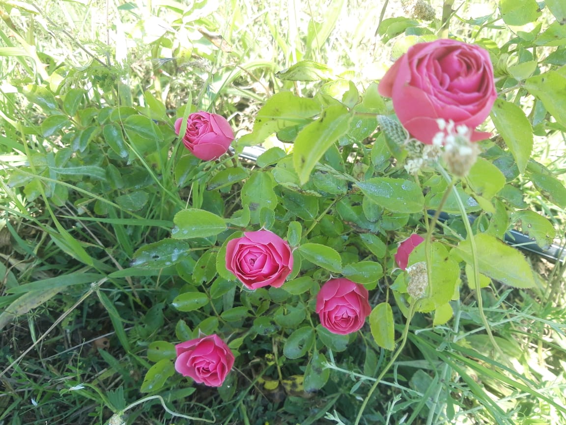 Фото Дом для отпуска