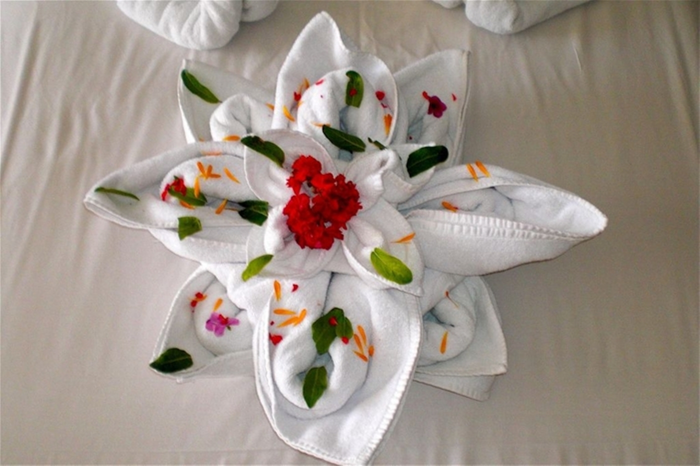 Фото Благодать