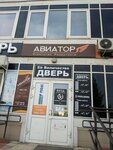 Rada Doors (Aviatorov Street, 38) ، الأبواب
