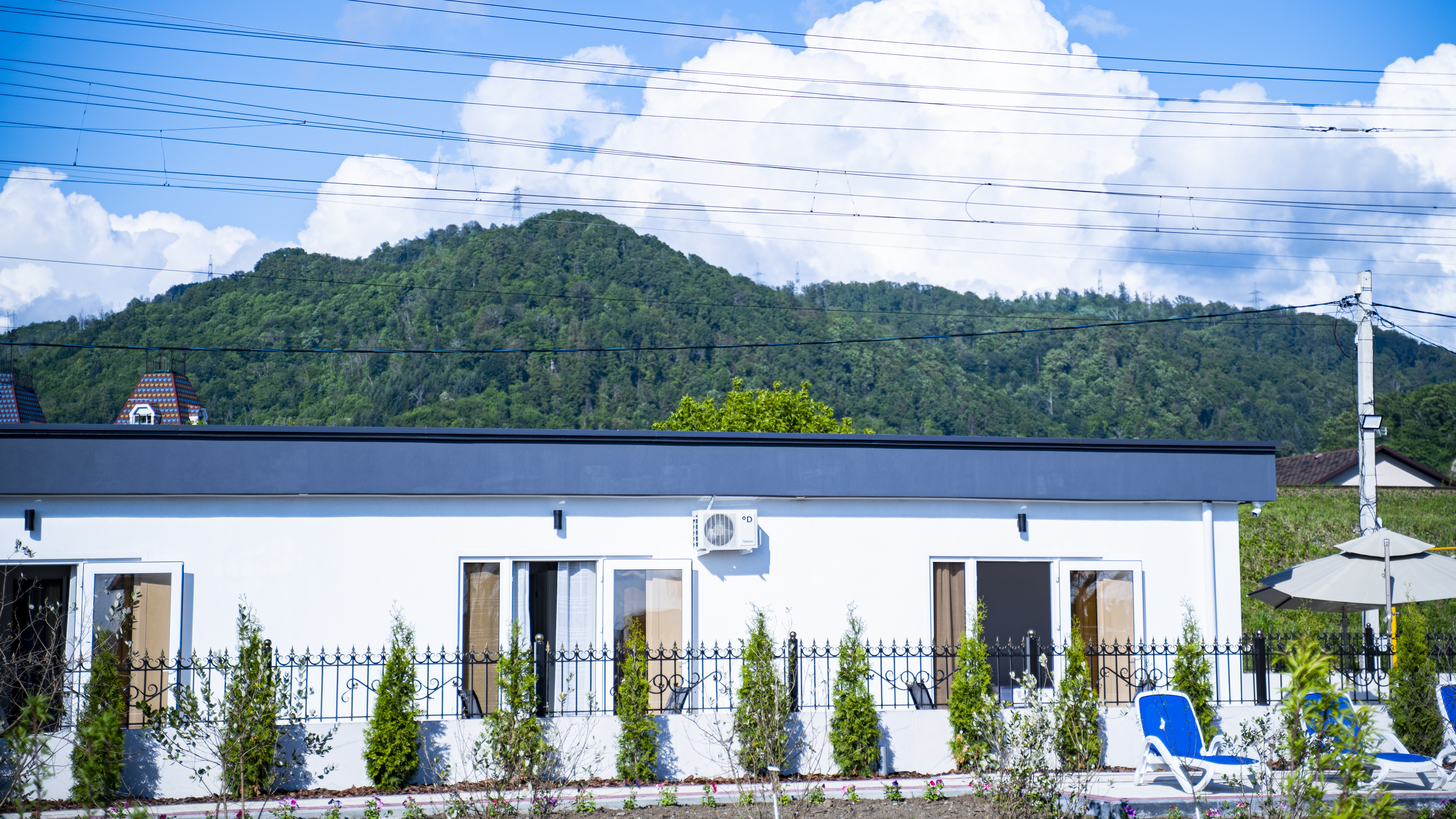 Фото Черный кот