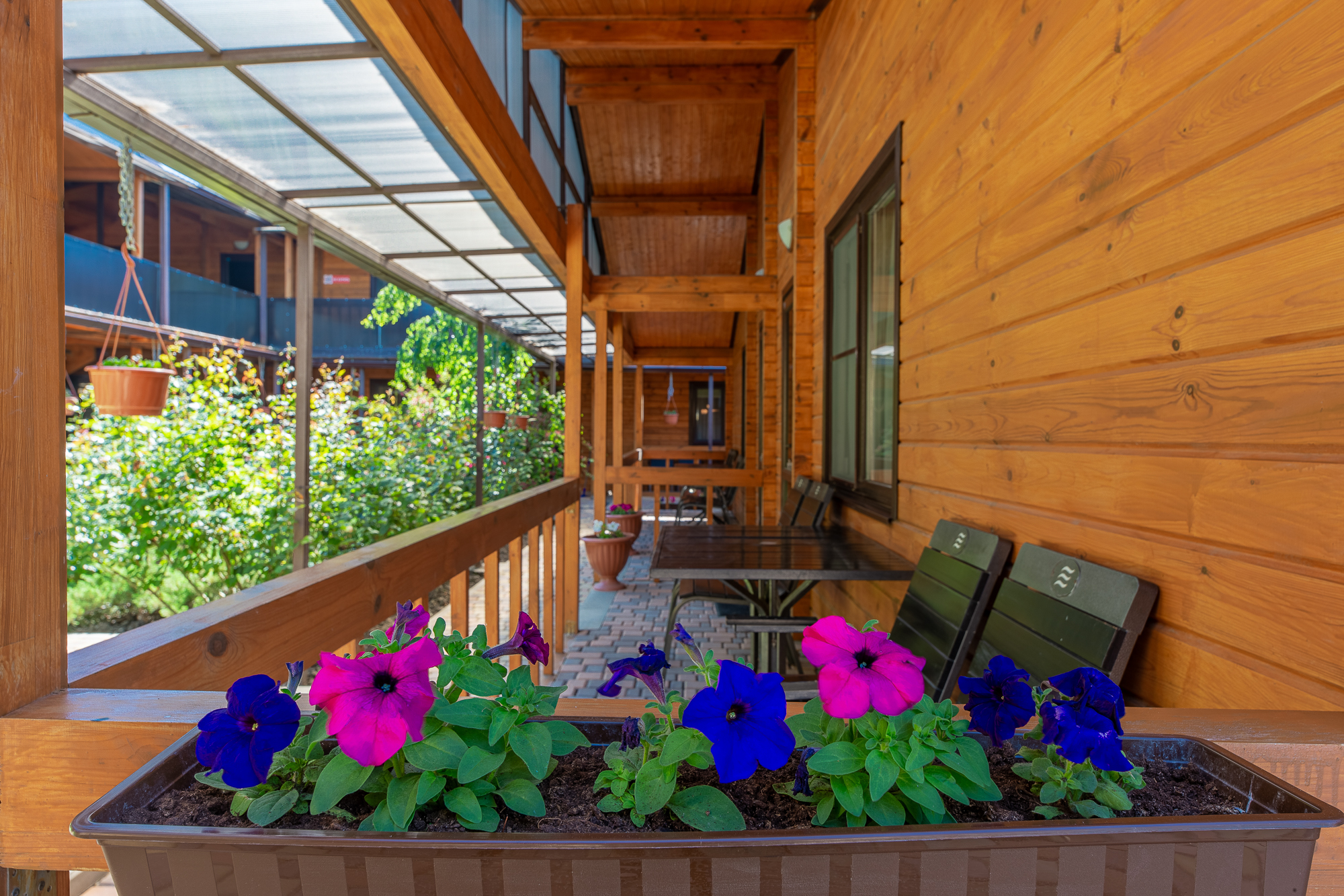 Фото Viktoriya Two