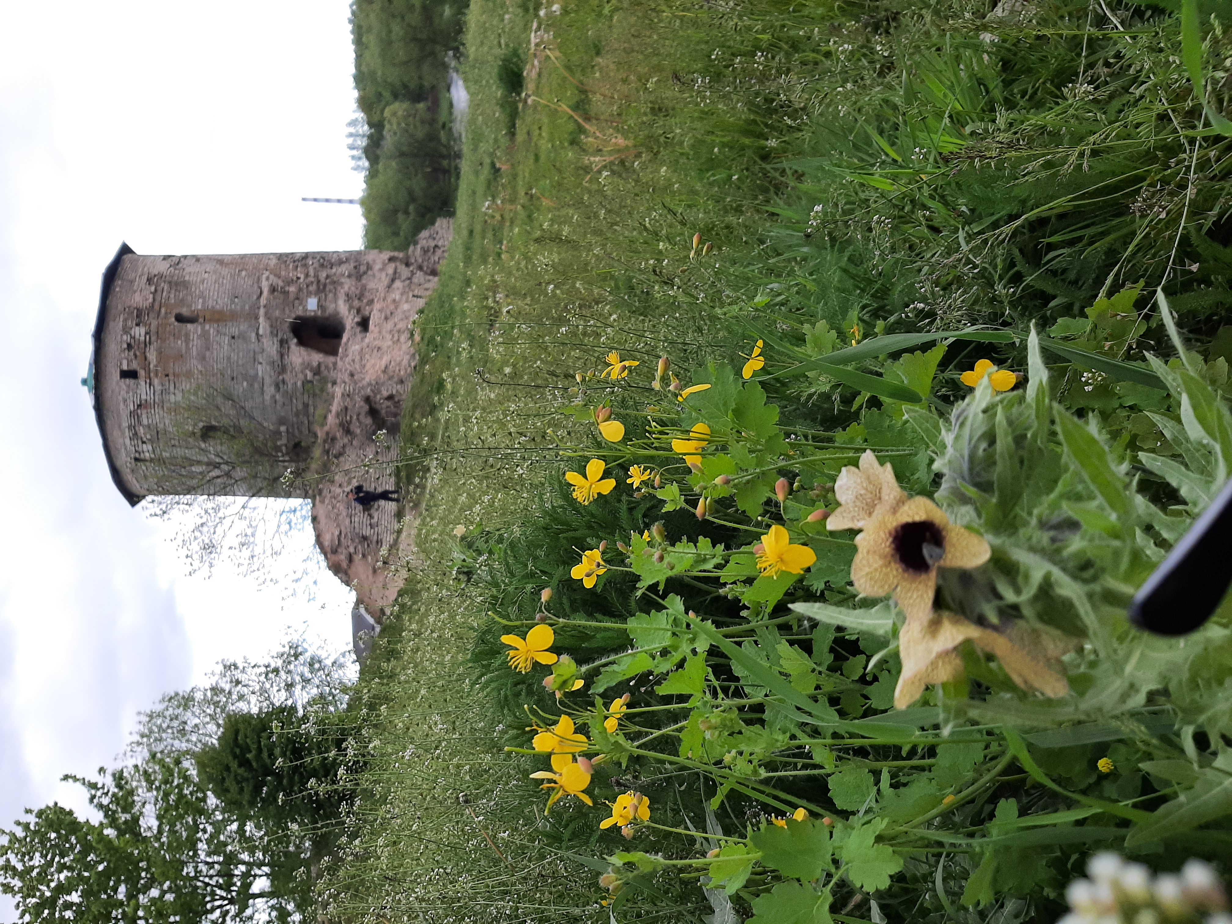 Фото ForrestHome