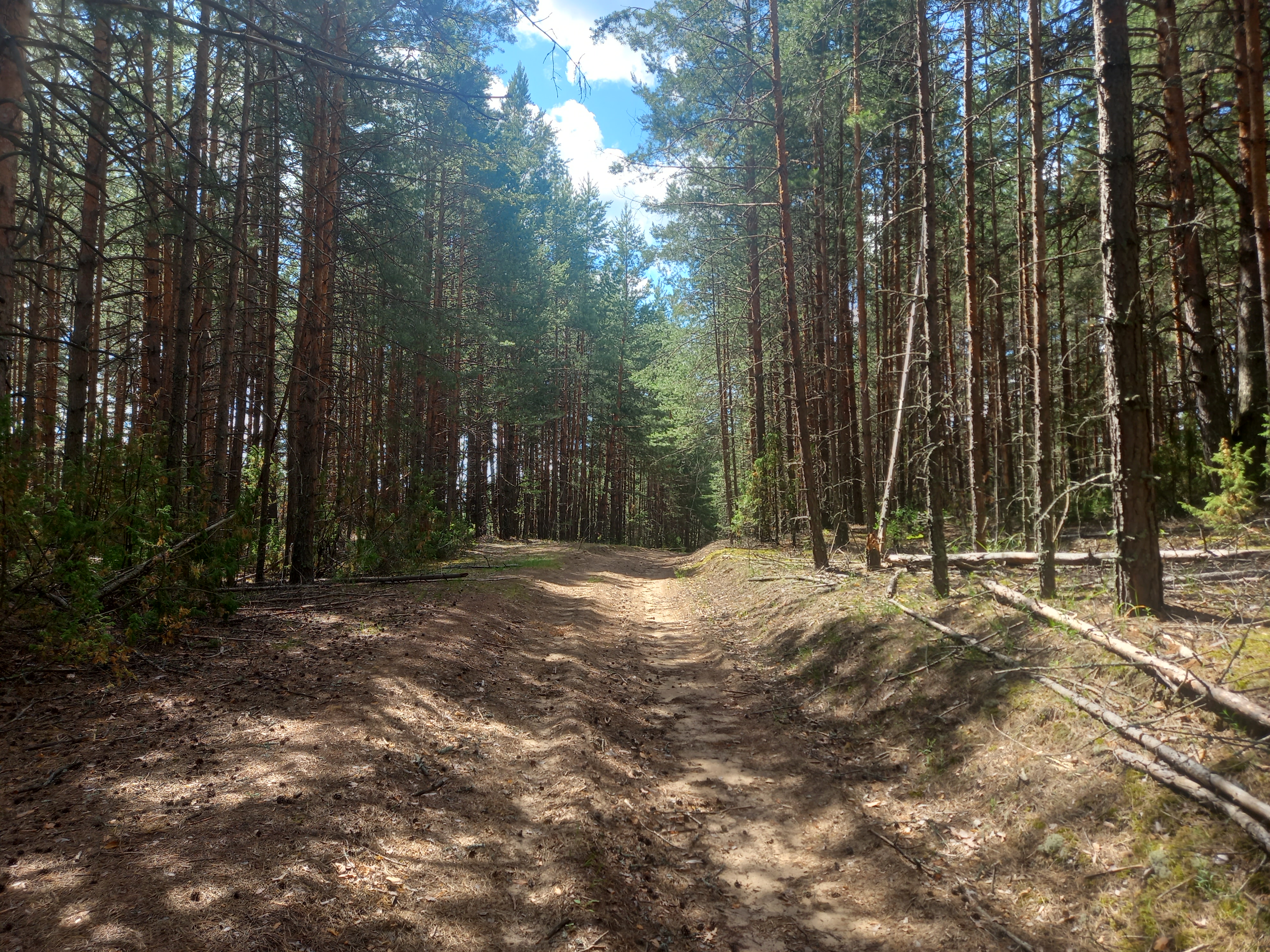 Фото Волшебная Заводь