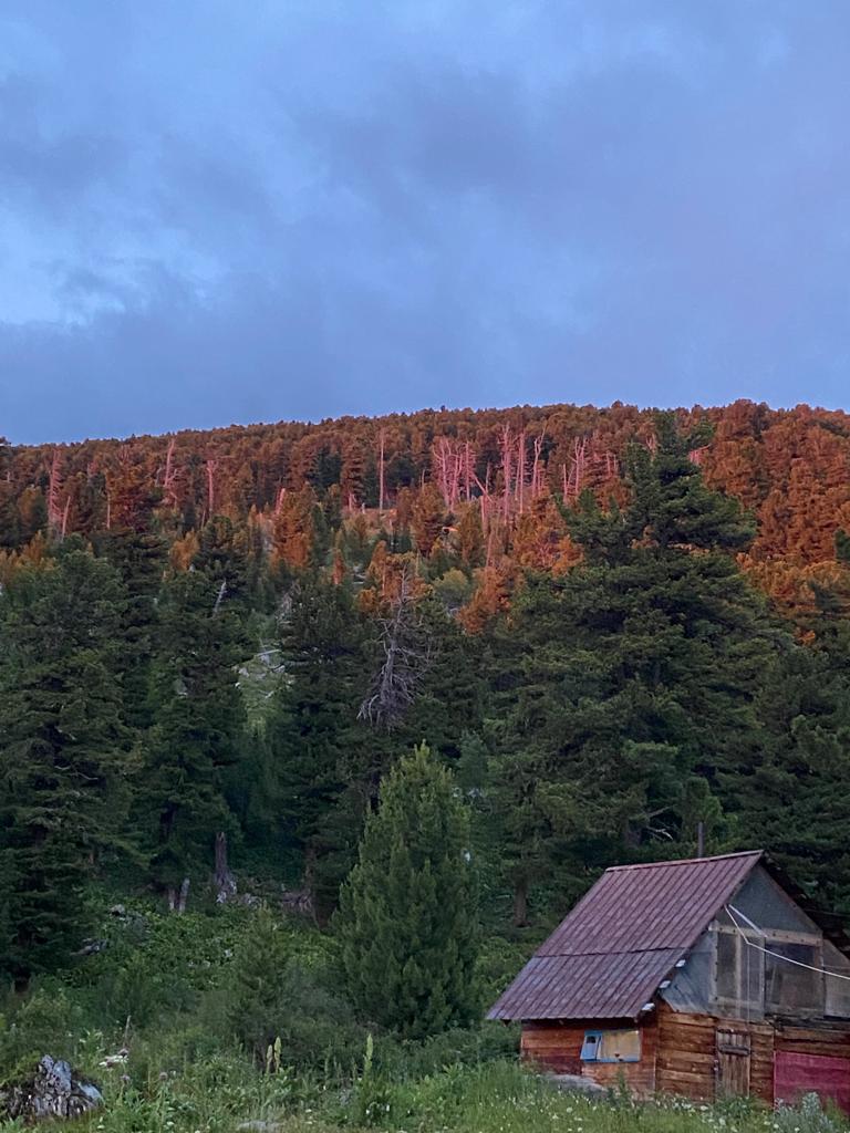 Фото Алтай-Вояж