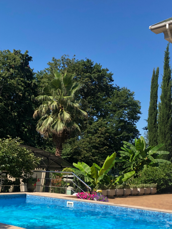 Фото Романов