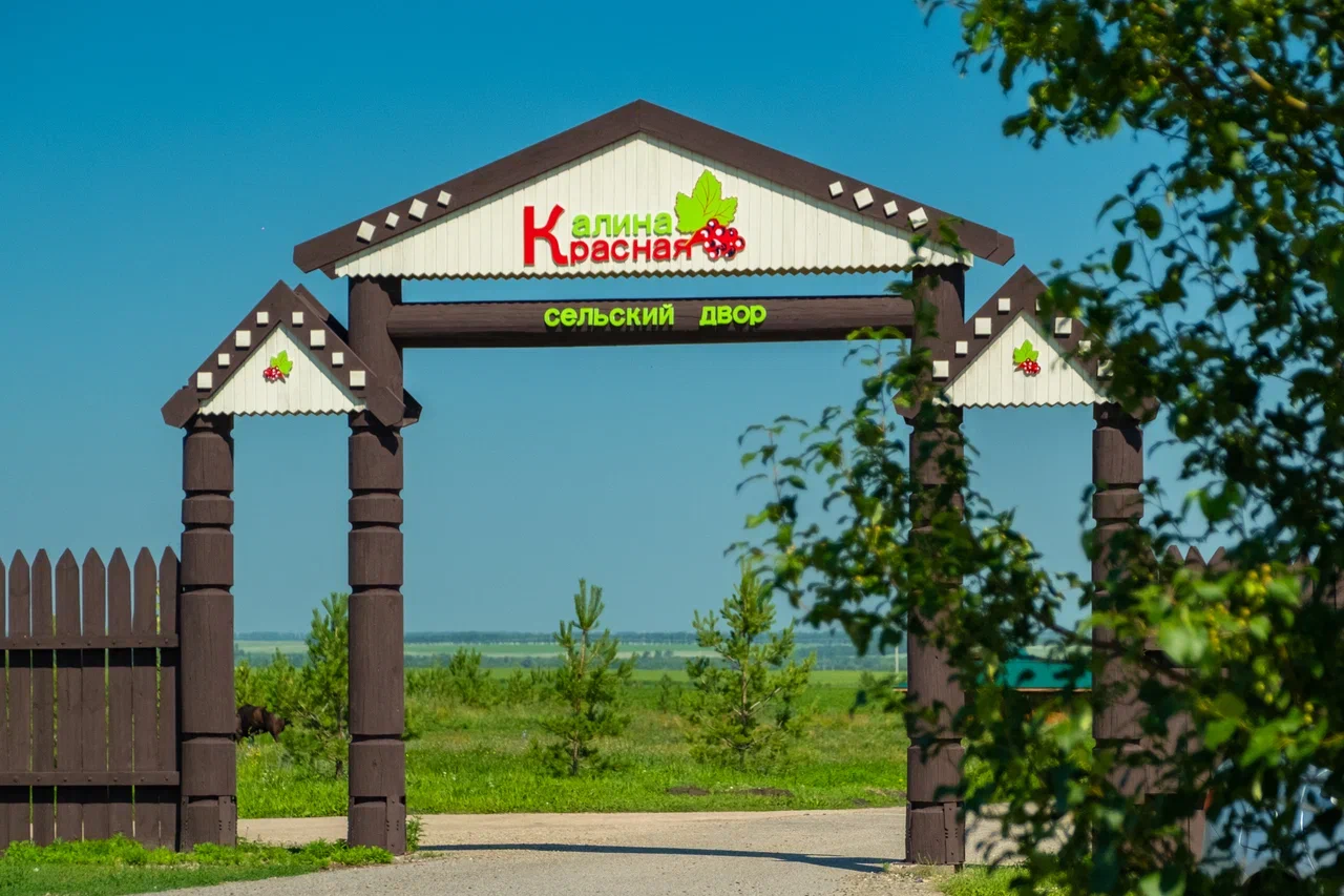 Фото Калина красная