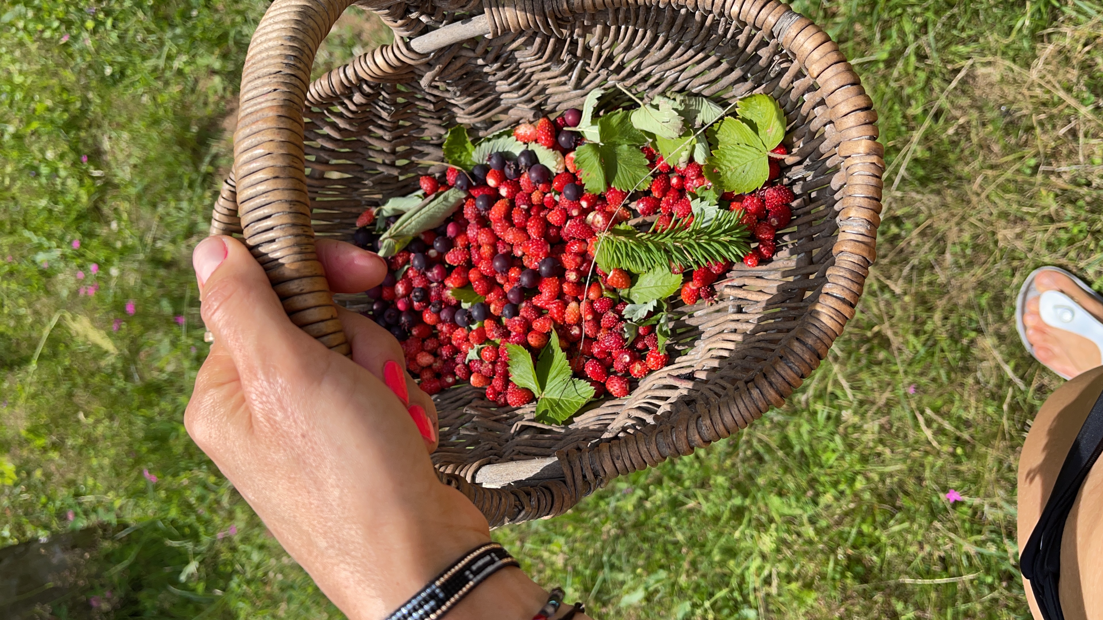 Фото Точка отдыха