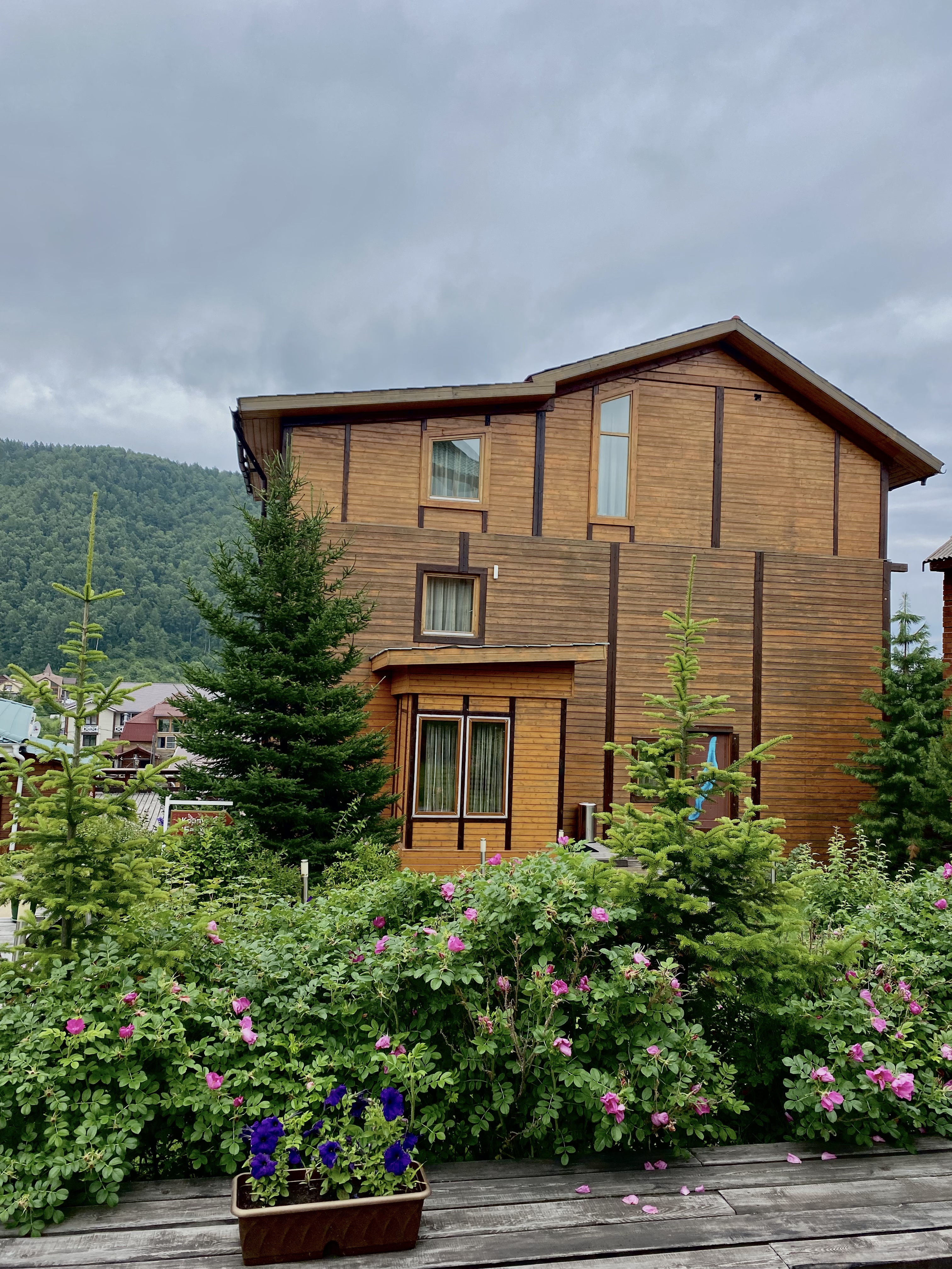 Фото Крестовая падь