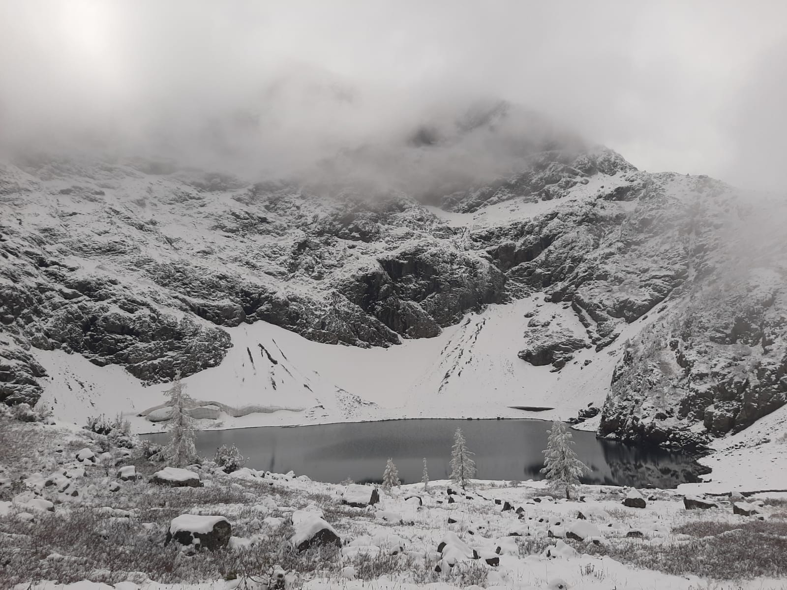 Фото Мульта-Центр