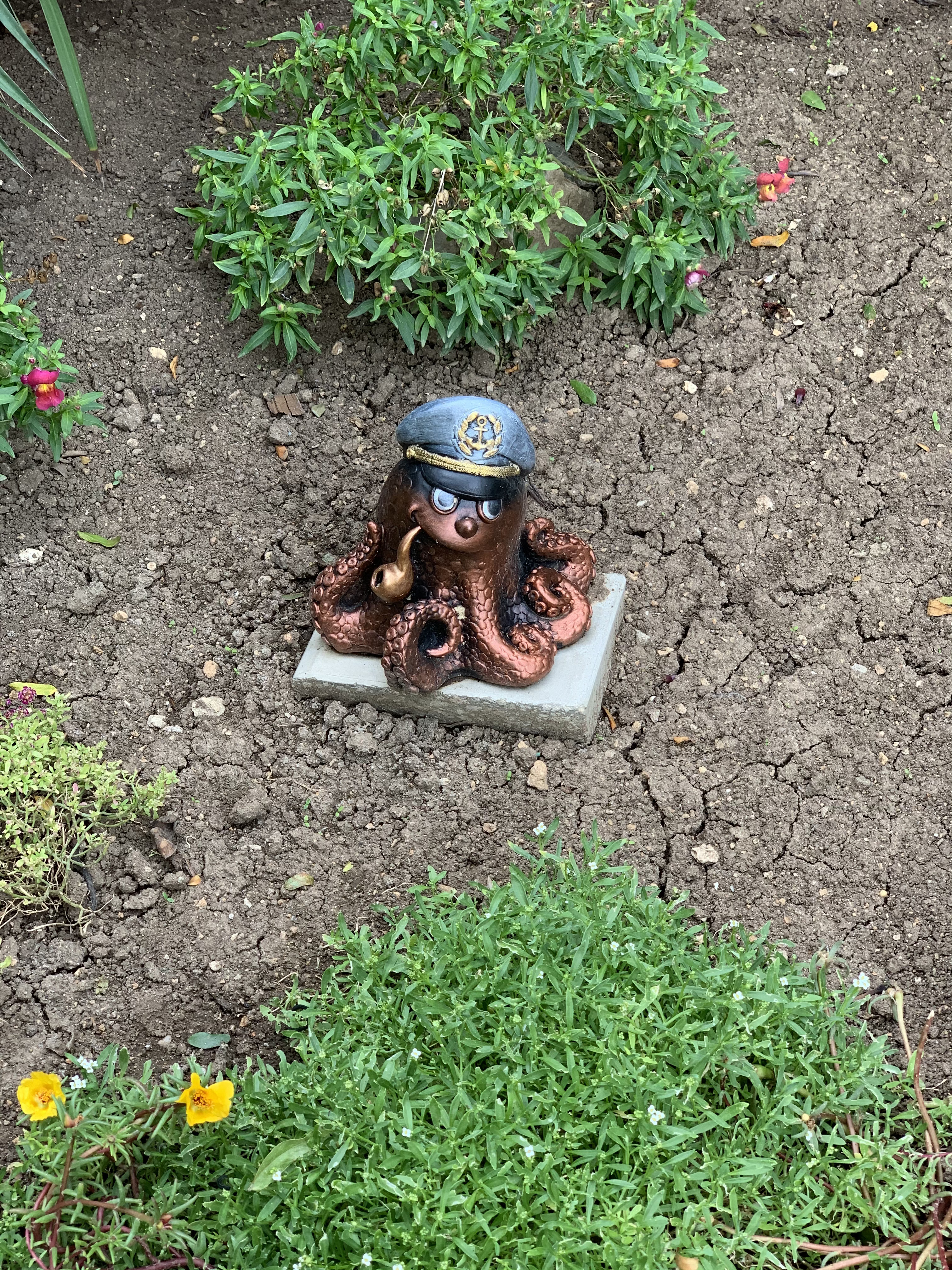 Фото У Борисовны