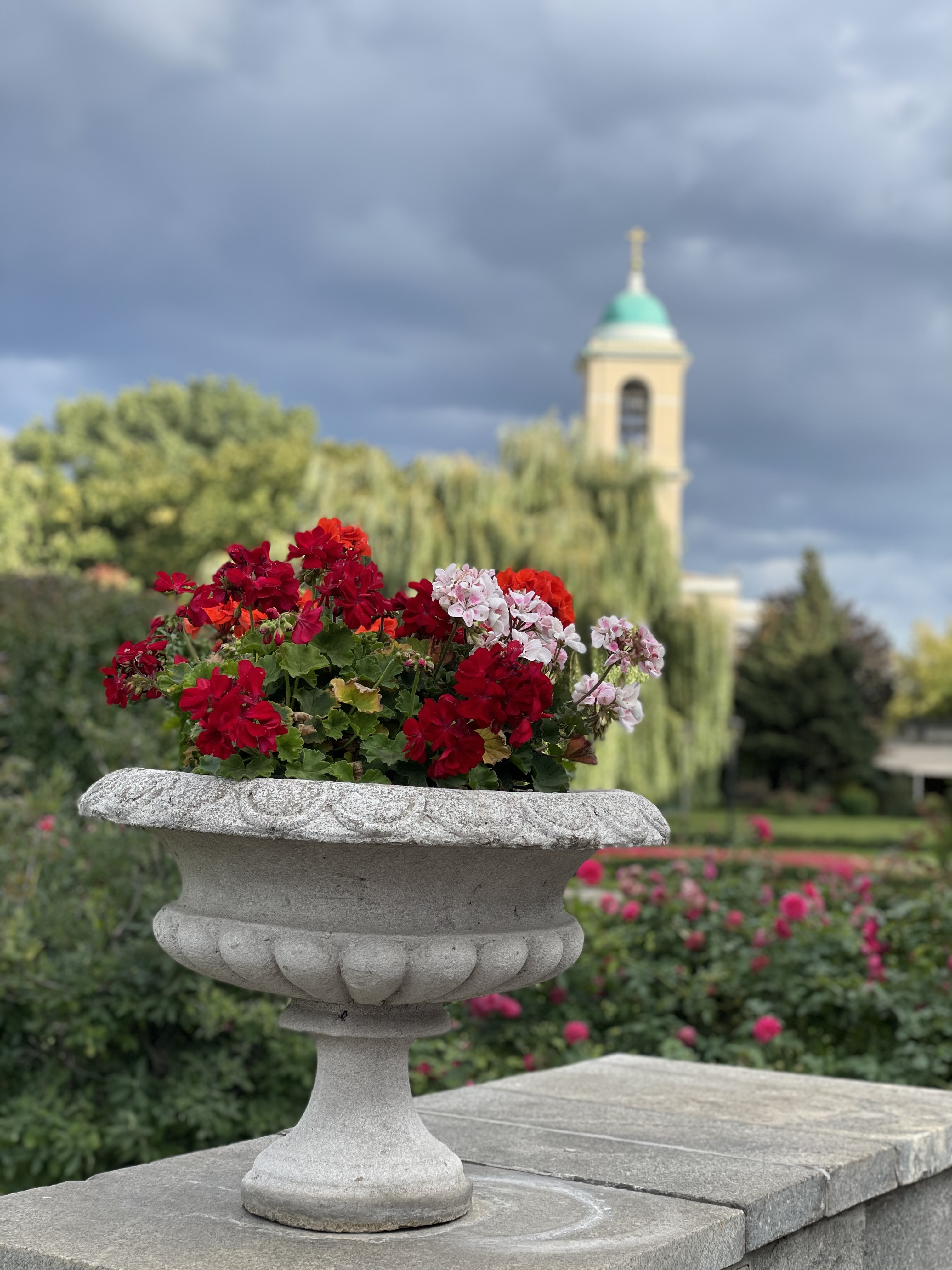 Фото Даниловская