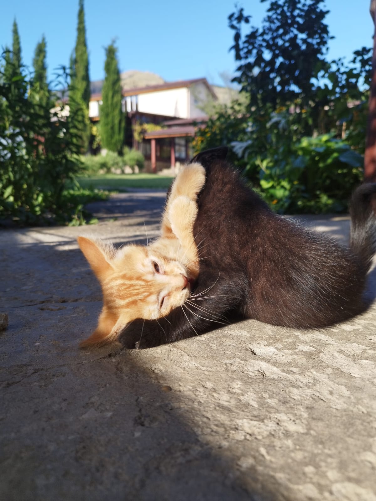 Фото Эко-усадьба Зеленогорье