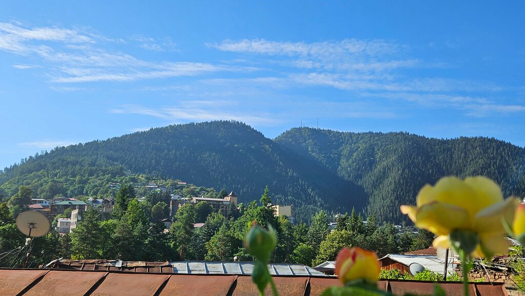 Гостиница Grimis Villa, Боржоми, фото