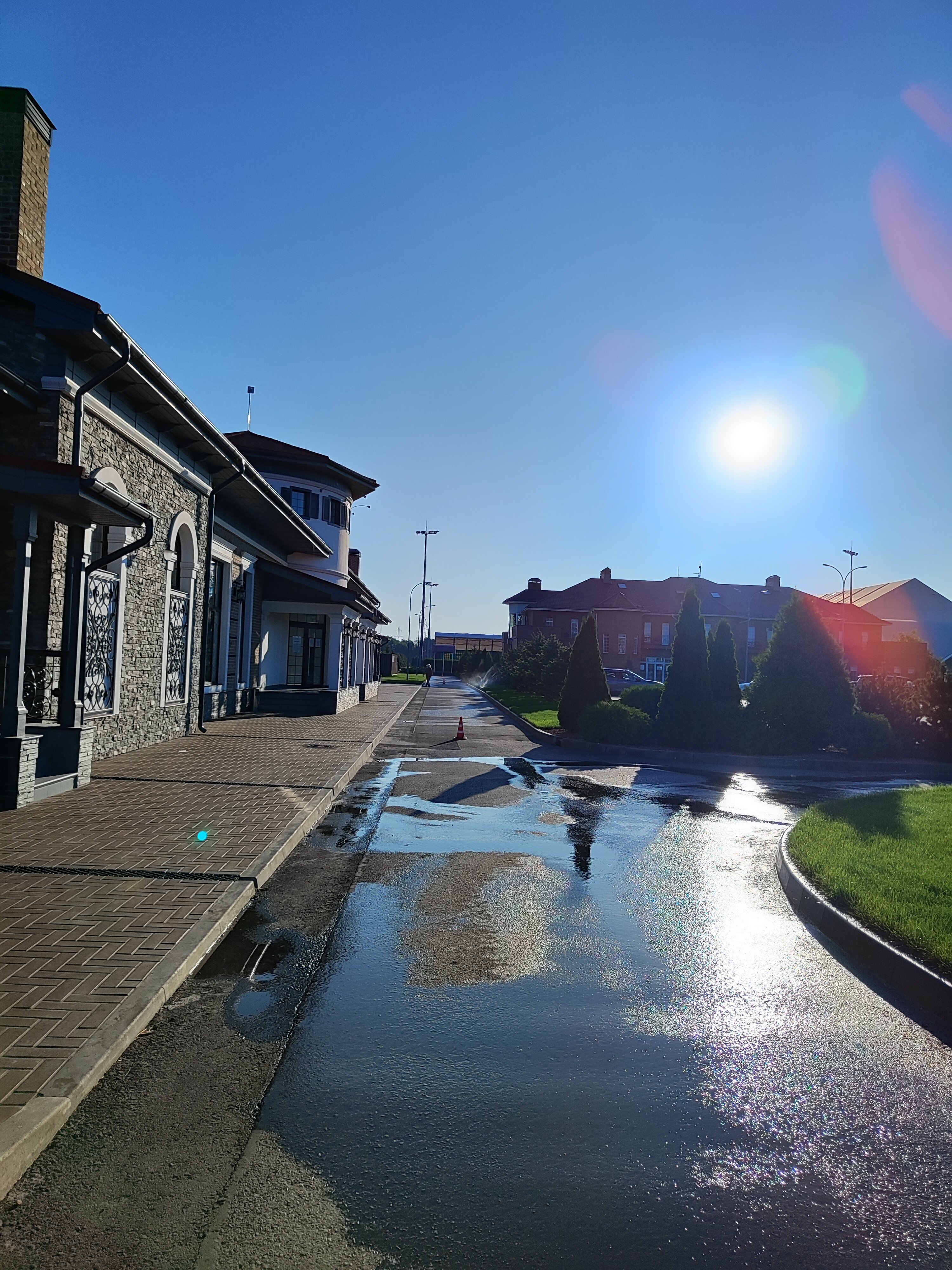 Фото Голден Хорс