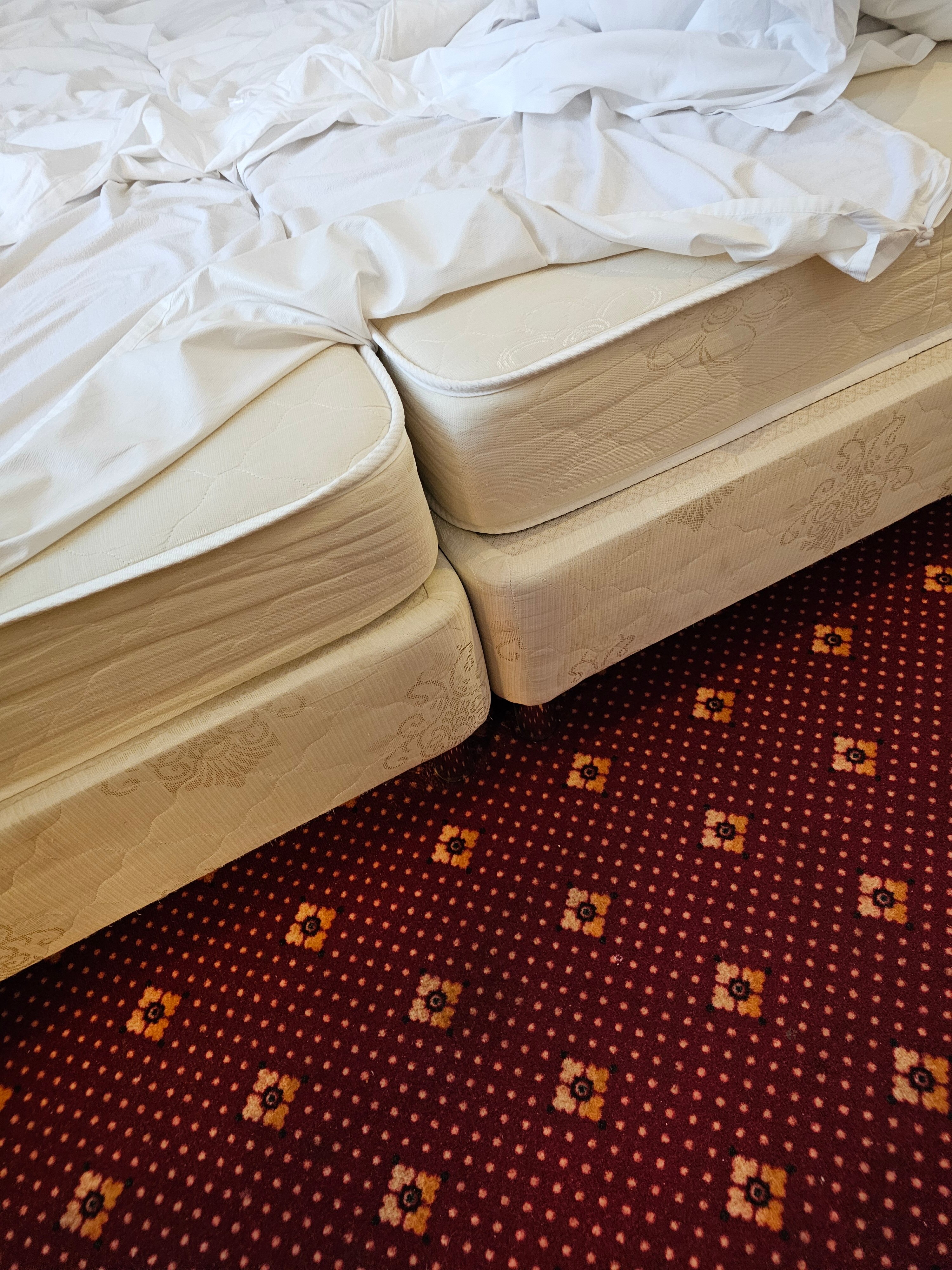 Фото Аркона