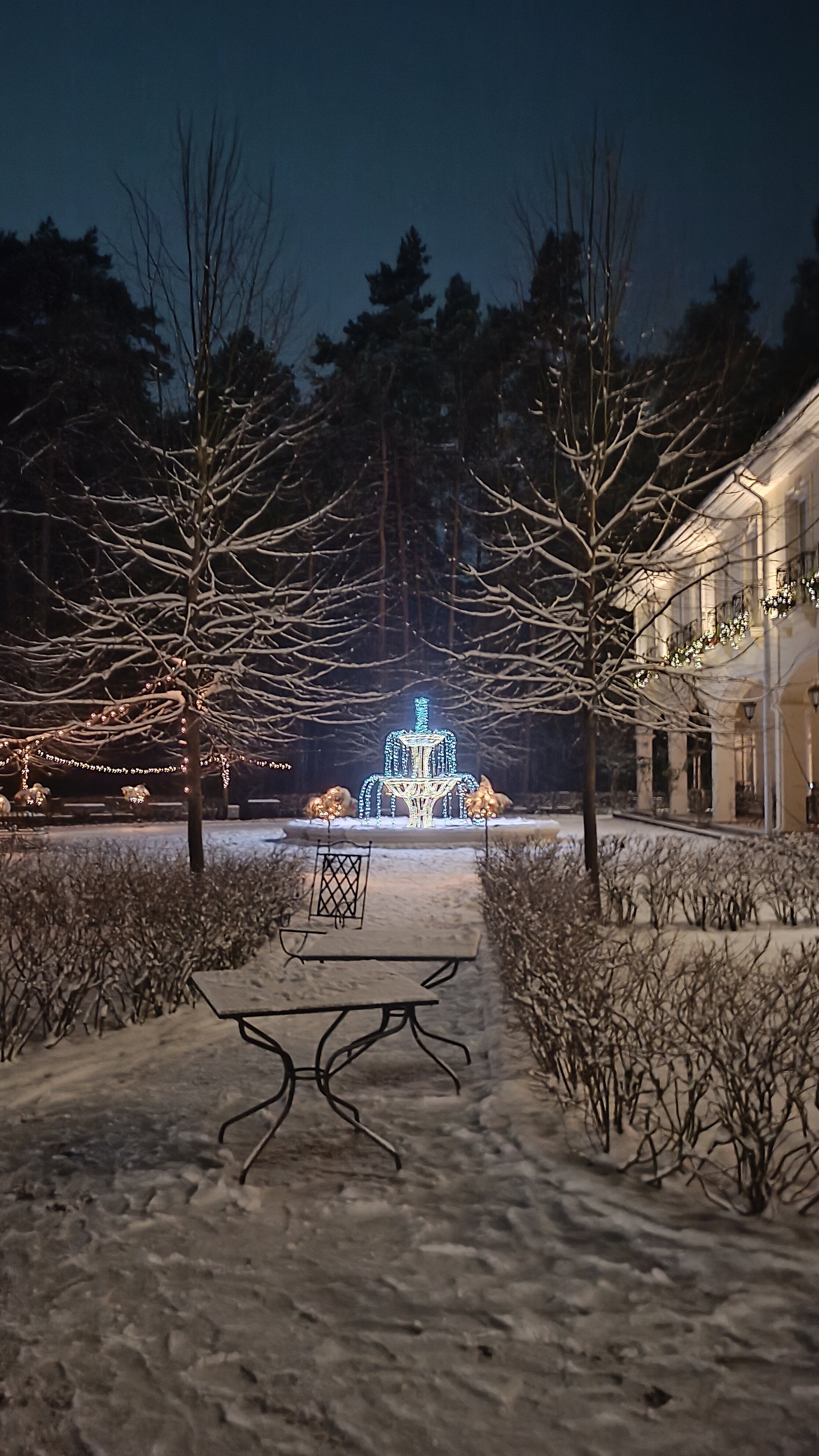 Фото Кронон Парк Отель