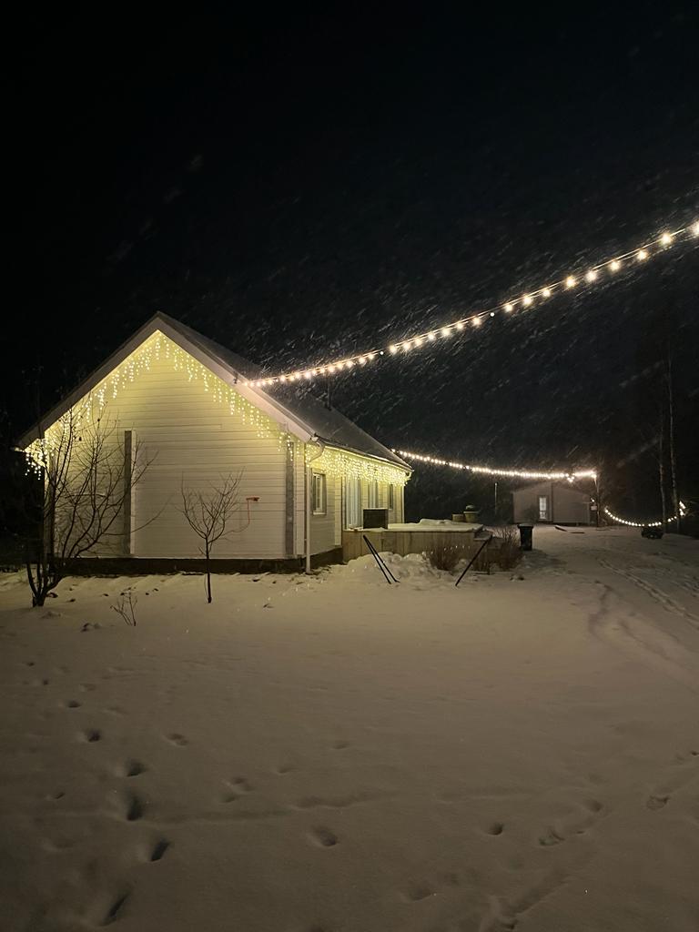 Фото Лес и луга