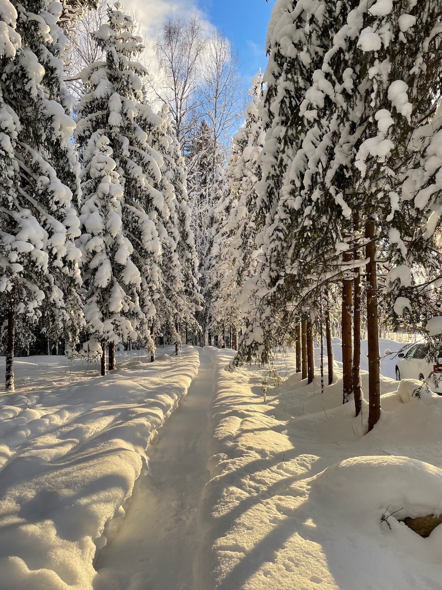 Фото Ёлки Чилл