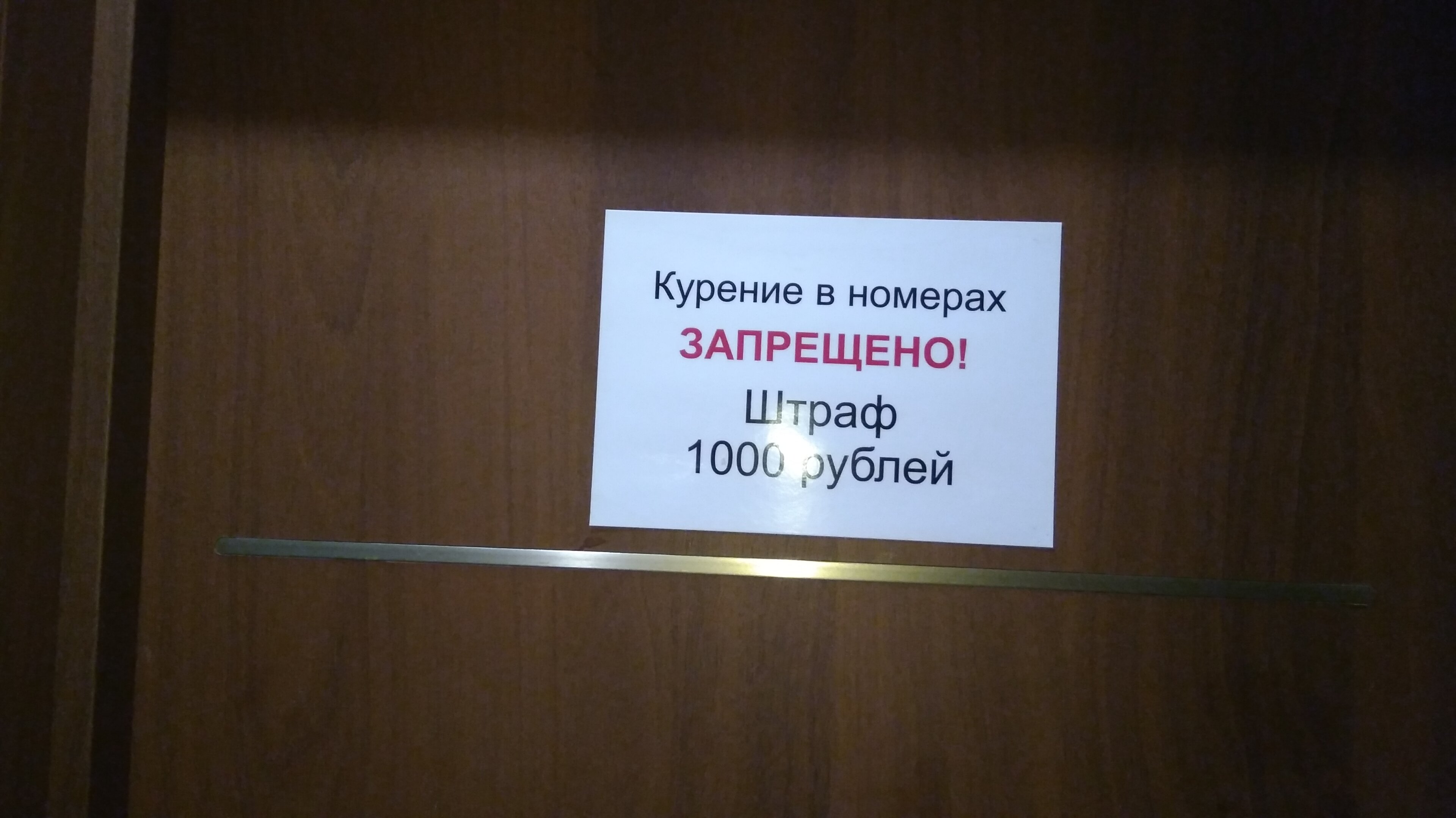 Фото Домино