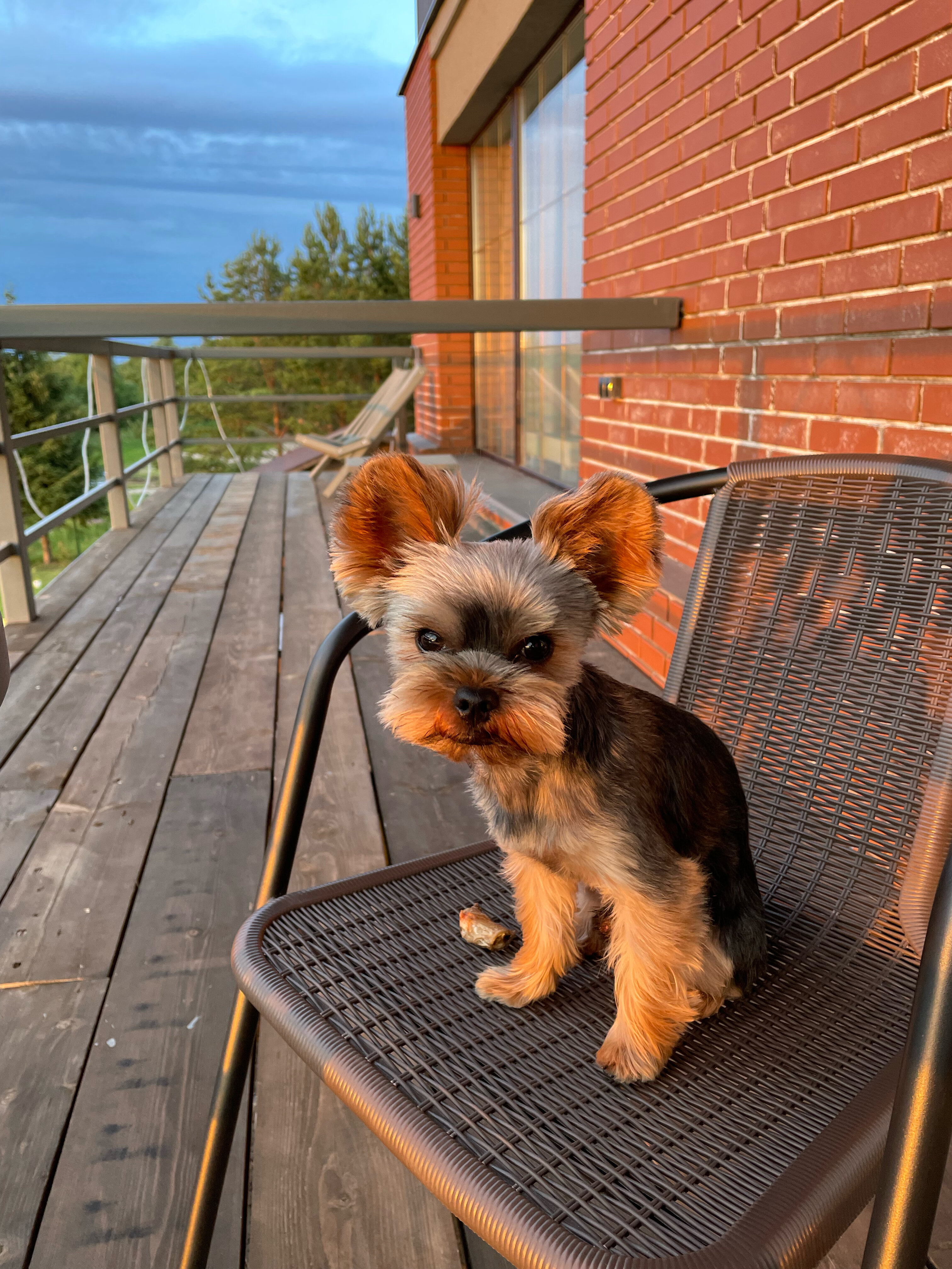 Фото Тимофеево