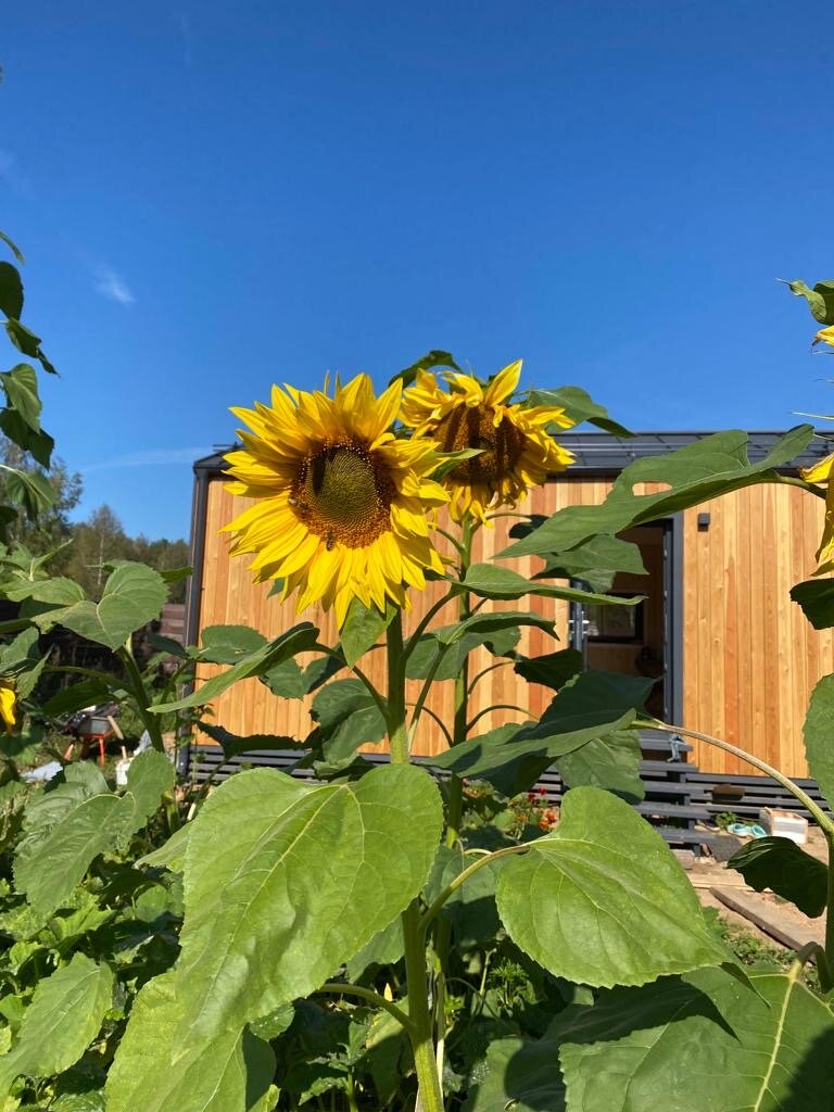 Фото Вилла Лаванда