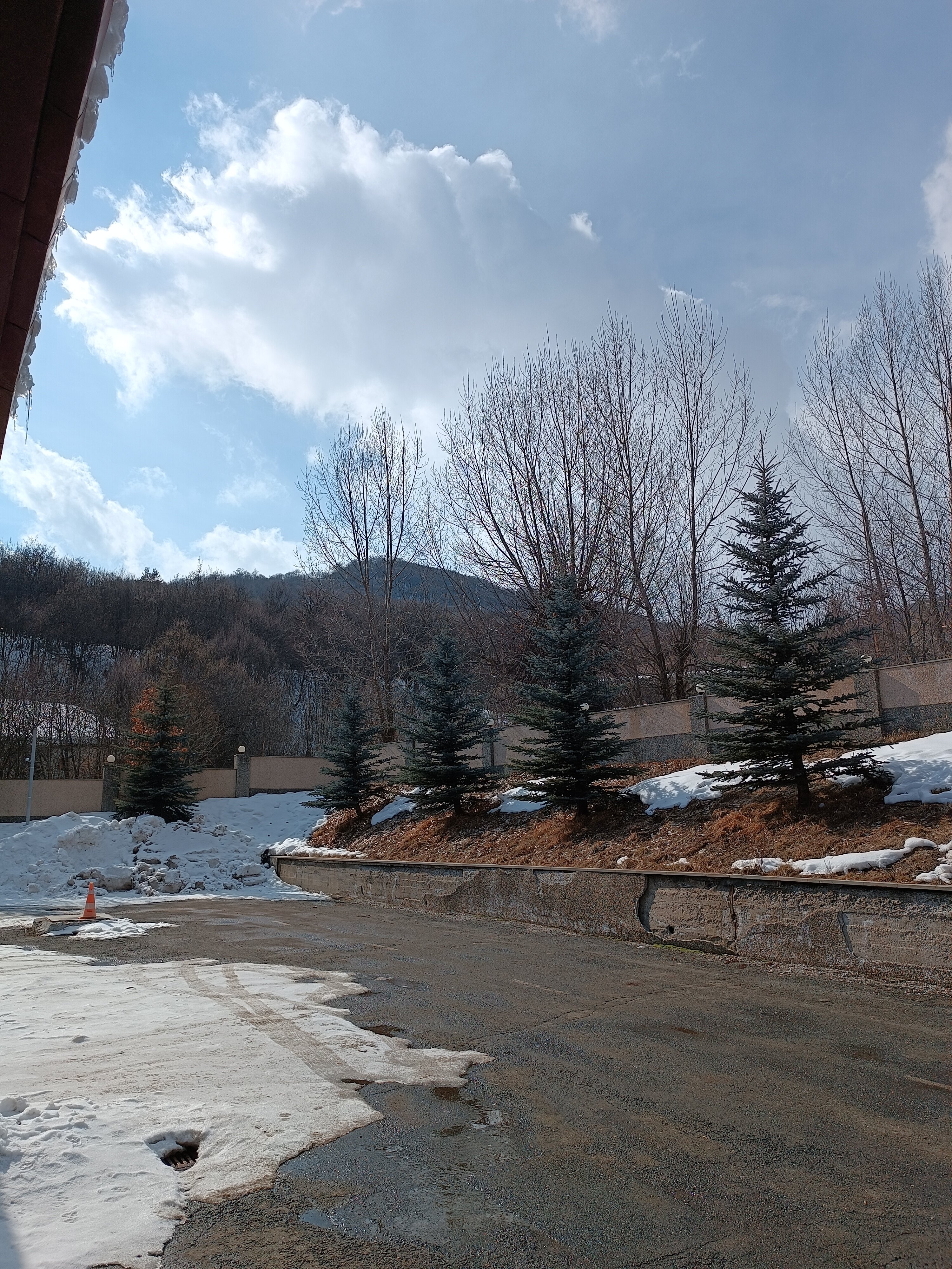 Фото Гостиница Цахкаовит