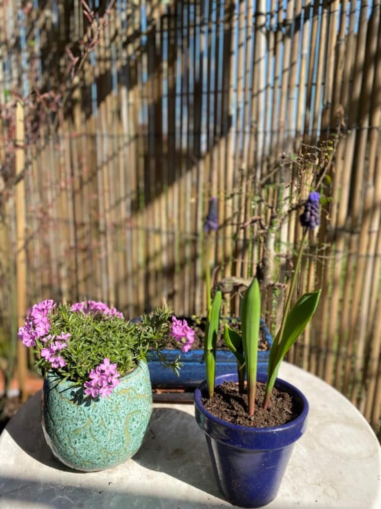 Фото Homely 1 Bedroom Apartment in South East London