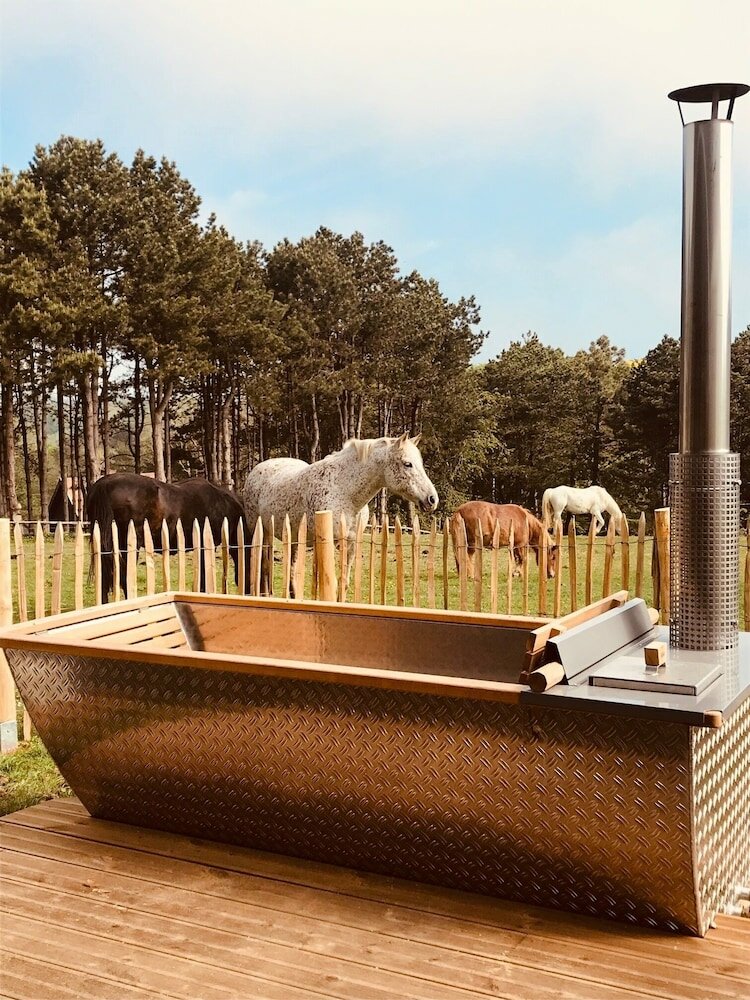 Фото Les Pins De Cesar