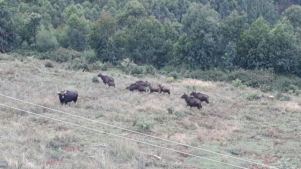 Фото Vridhavan Mist City